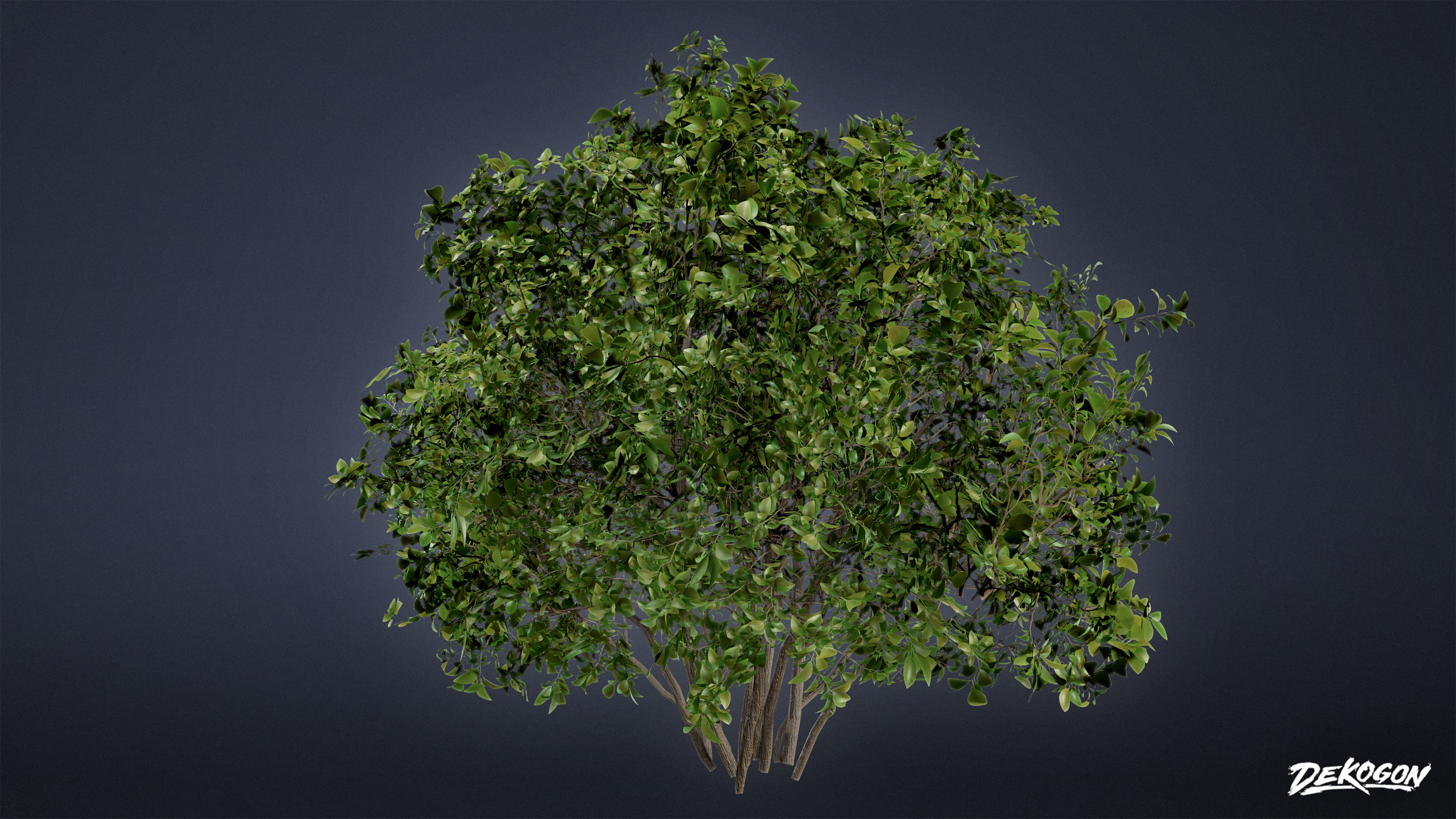 FOLIAGE - Bush 02 - LOW POLY Low-poly 3D model_4