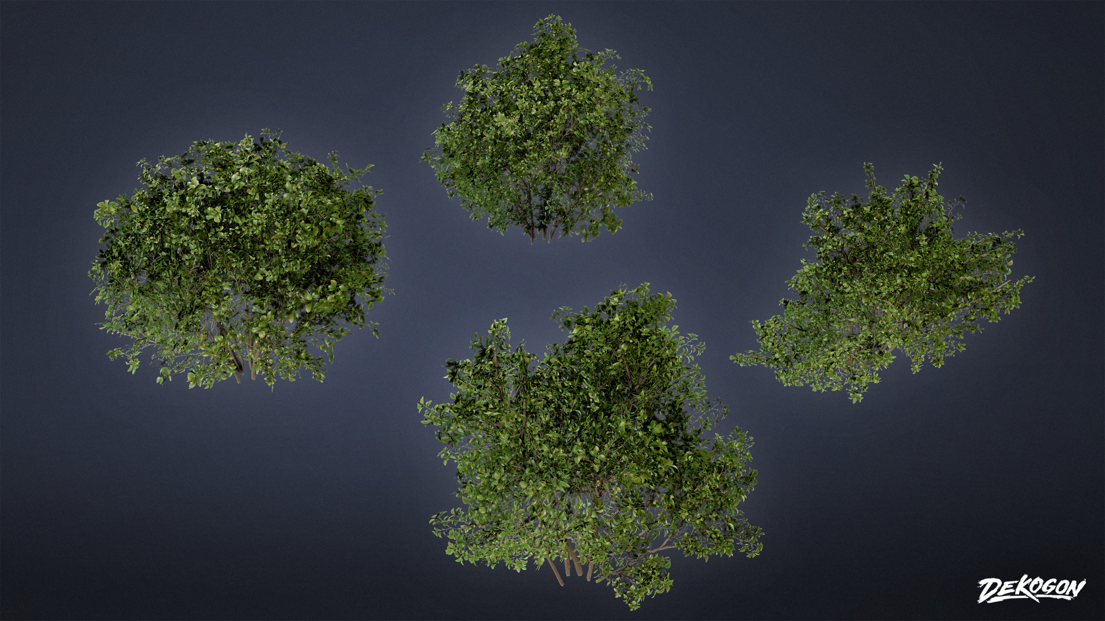FOLIAGE - Bush 02 - LOW POLY Low-poly 3D model_1