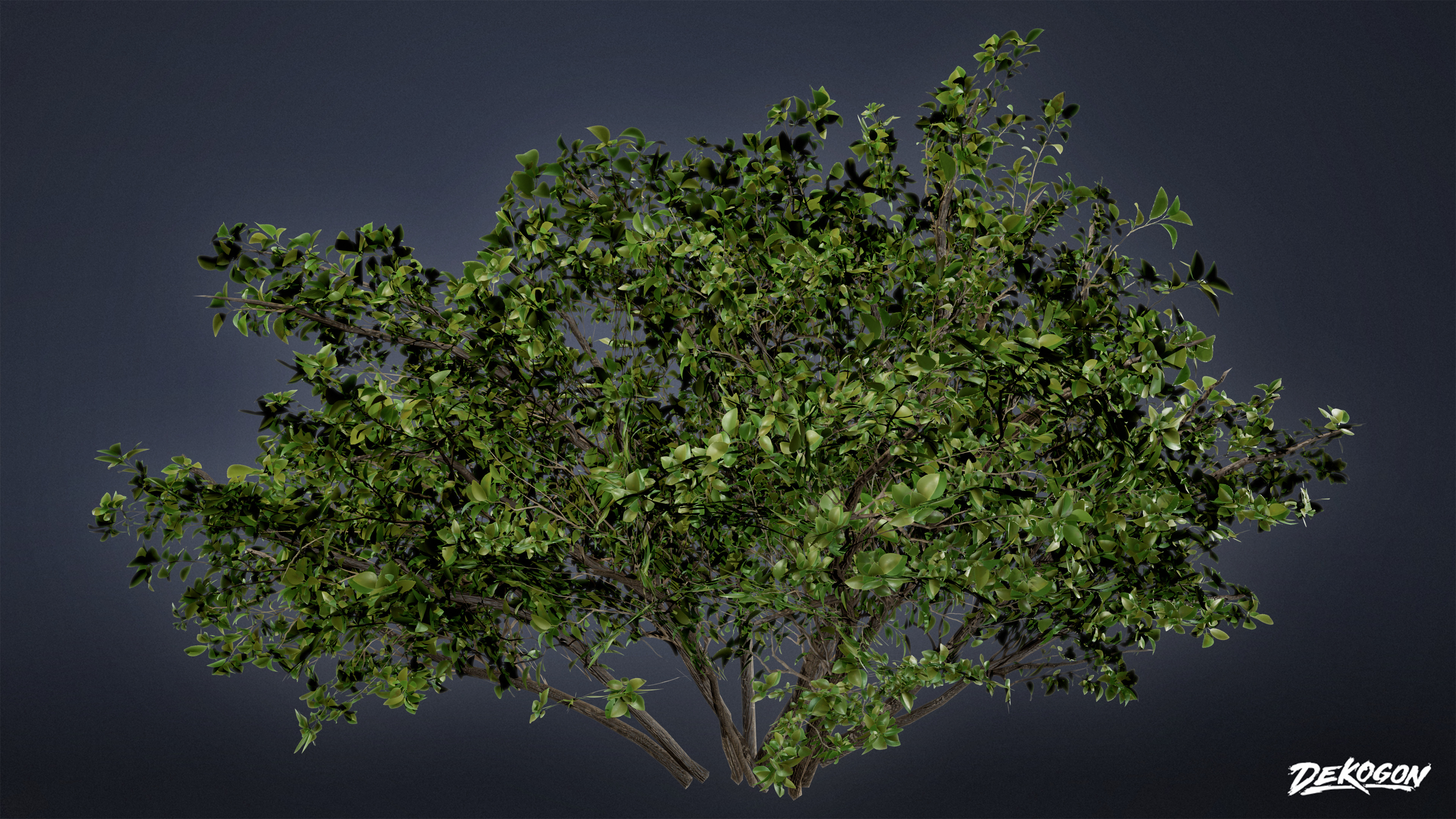FOLIAGE - Bush 02 - LOW POLY Low-poly 3D model_6