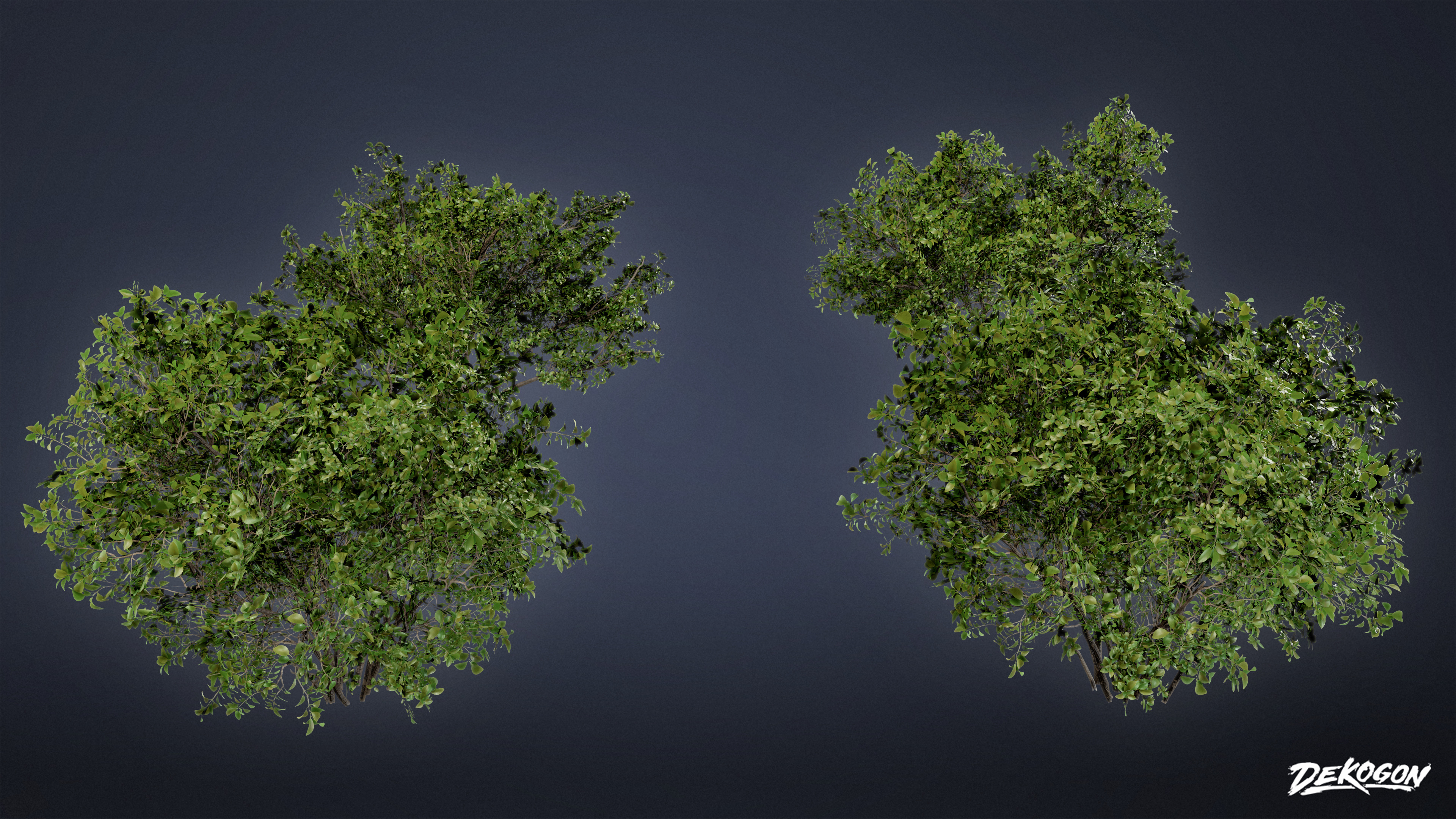 FOLIAGE - Bush 02 - LOW POLY Low-poly 3D model_2