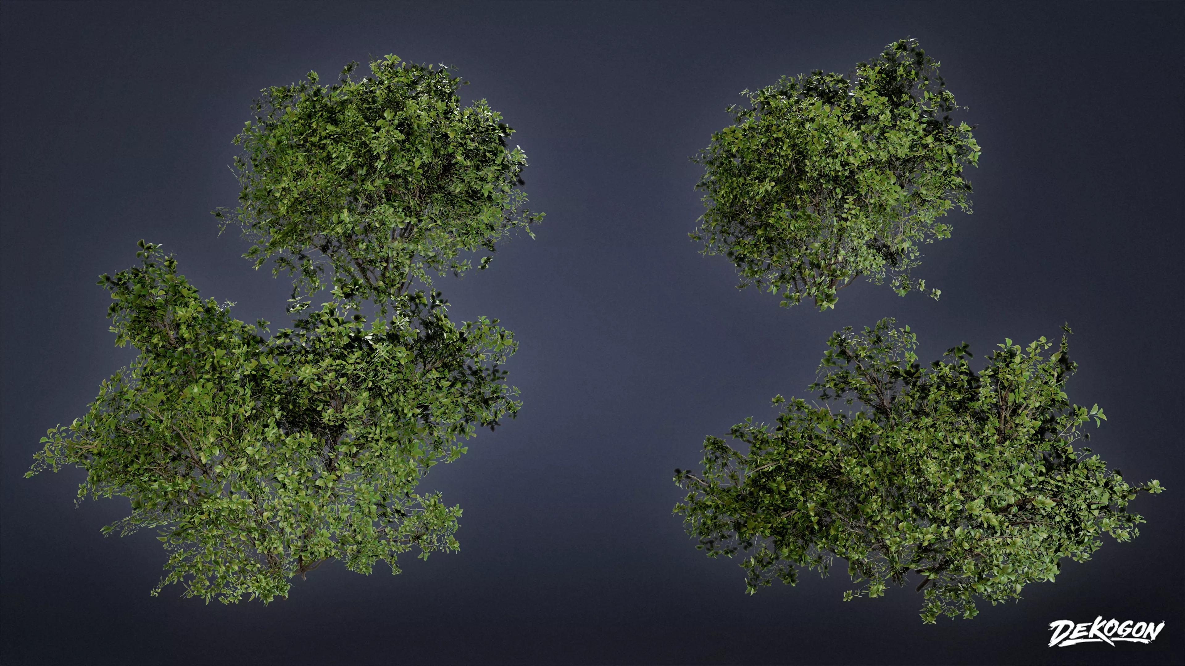 FOLIAGE - Bush 02 - LOW POLY Low-poly 3D model_0