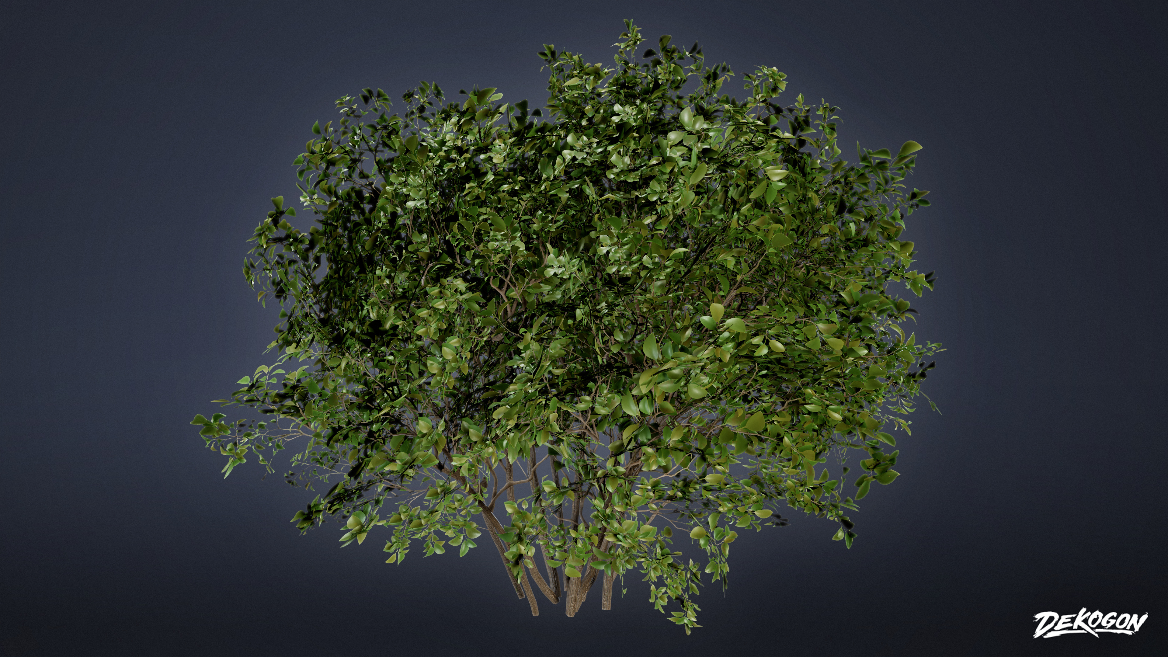 FOLIAGE - Bush 02 - LOW POLY Low-poly 3D model_3