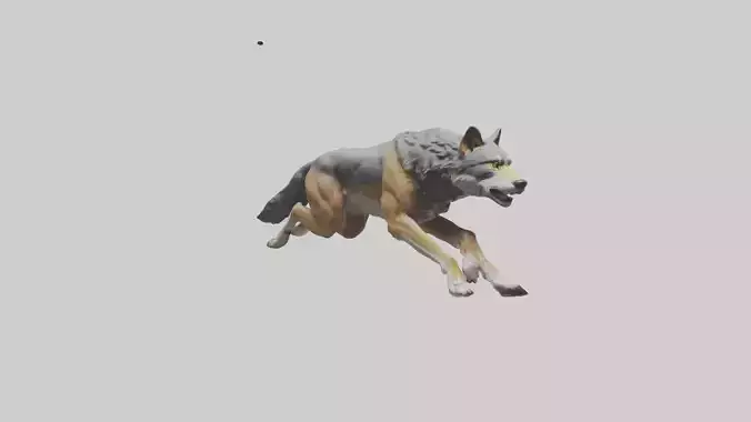 Indian Wolf running model