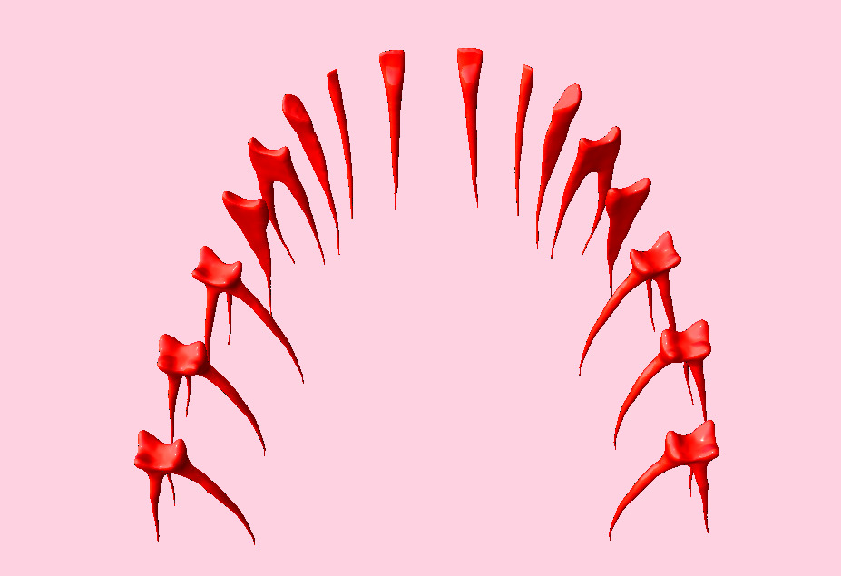 Natural teeth with pulp cavity upper maxillary 3D print model_7