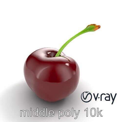 Realistic Cherry with Dark Red Glossy Texture model pack Low-poly 3D model 5