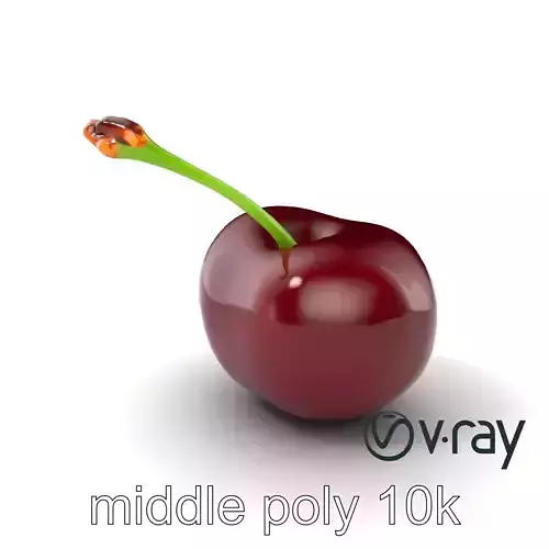 Realistic Cherry with Dark Red Glossy Texture model pack