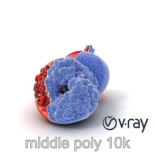 Pomegranate Velvet Texture Fruit model pack Low-poly 3D model 5