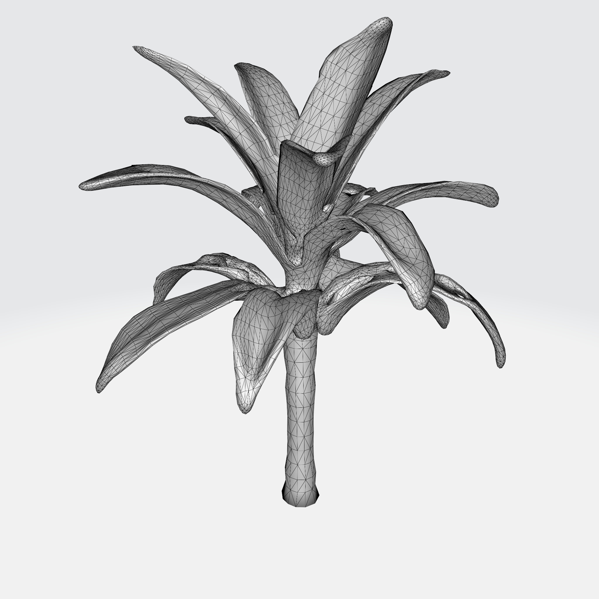 Banana Tree 3D model_4