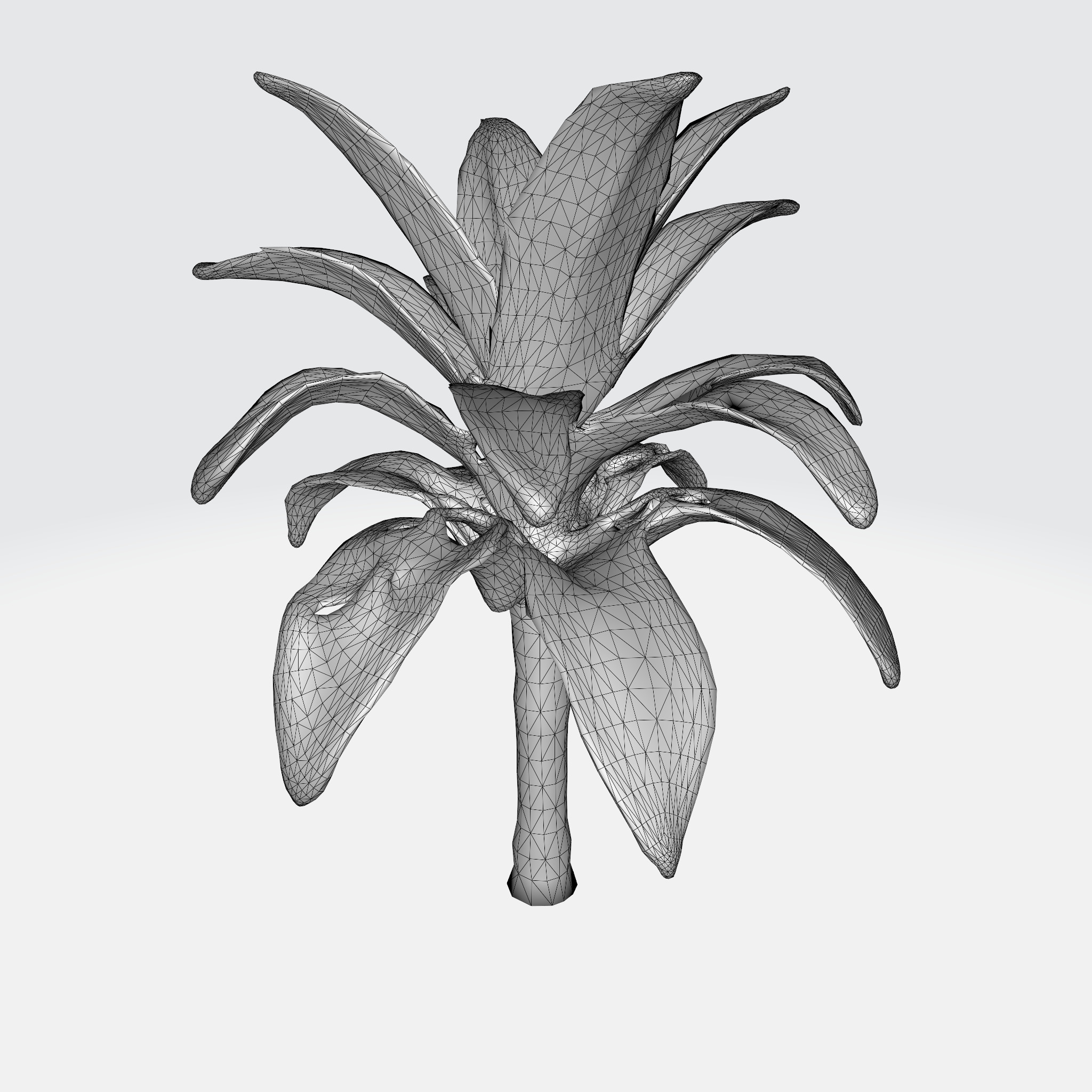 Banana Tree 3D model_5