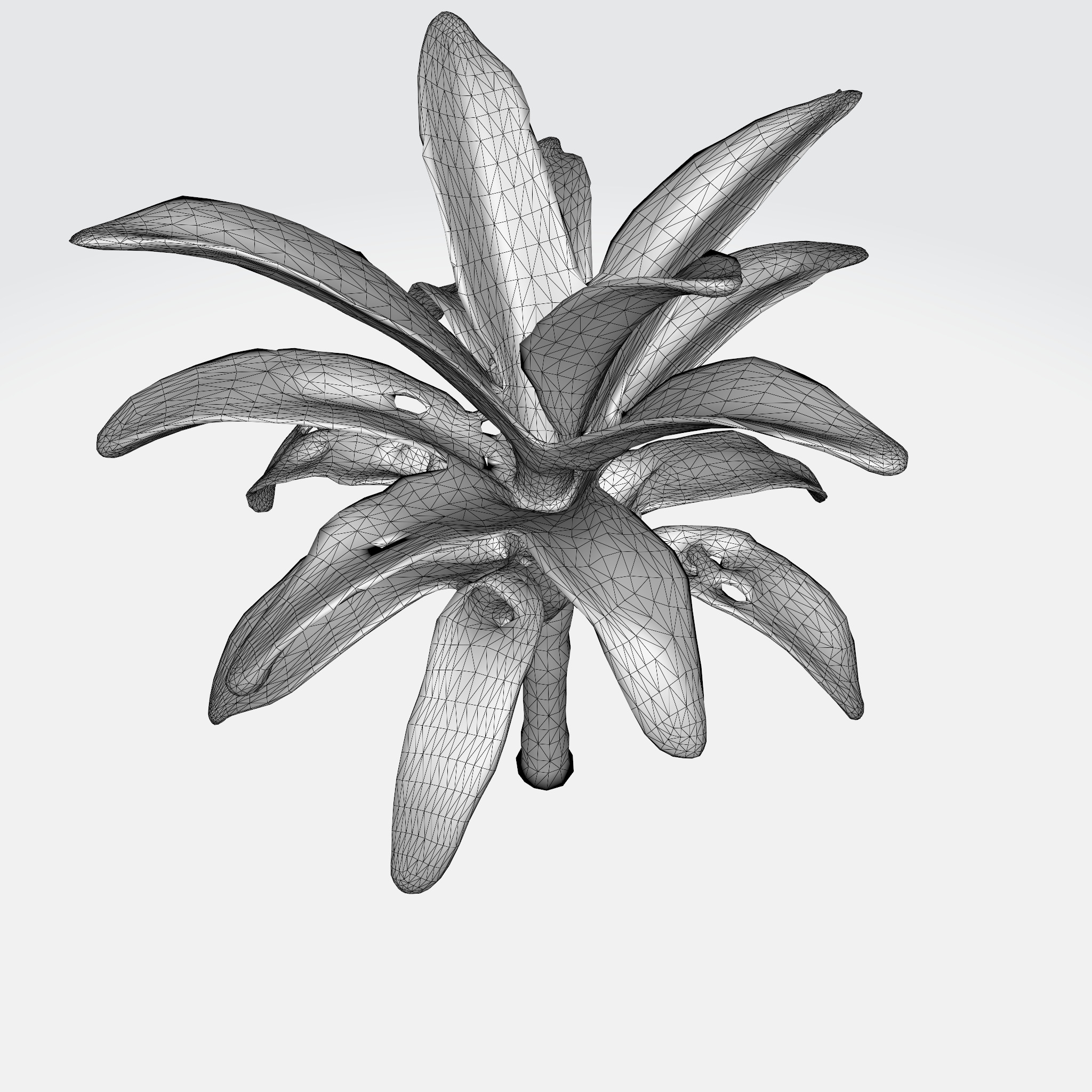 Banana Tree 3D model_6