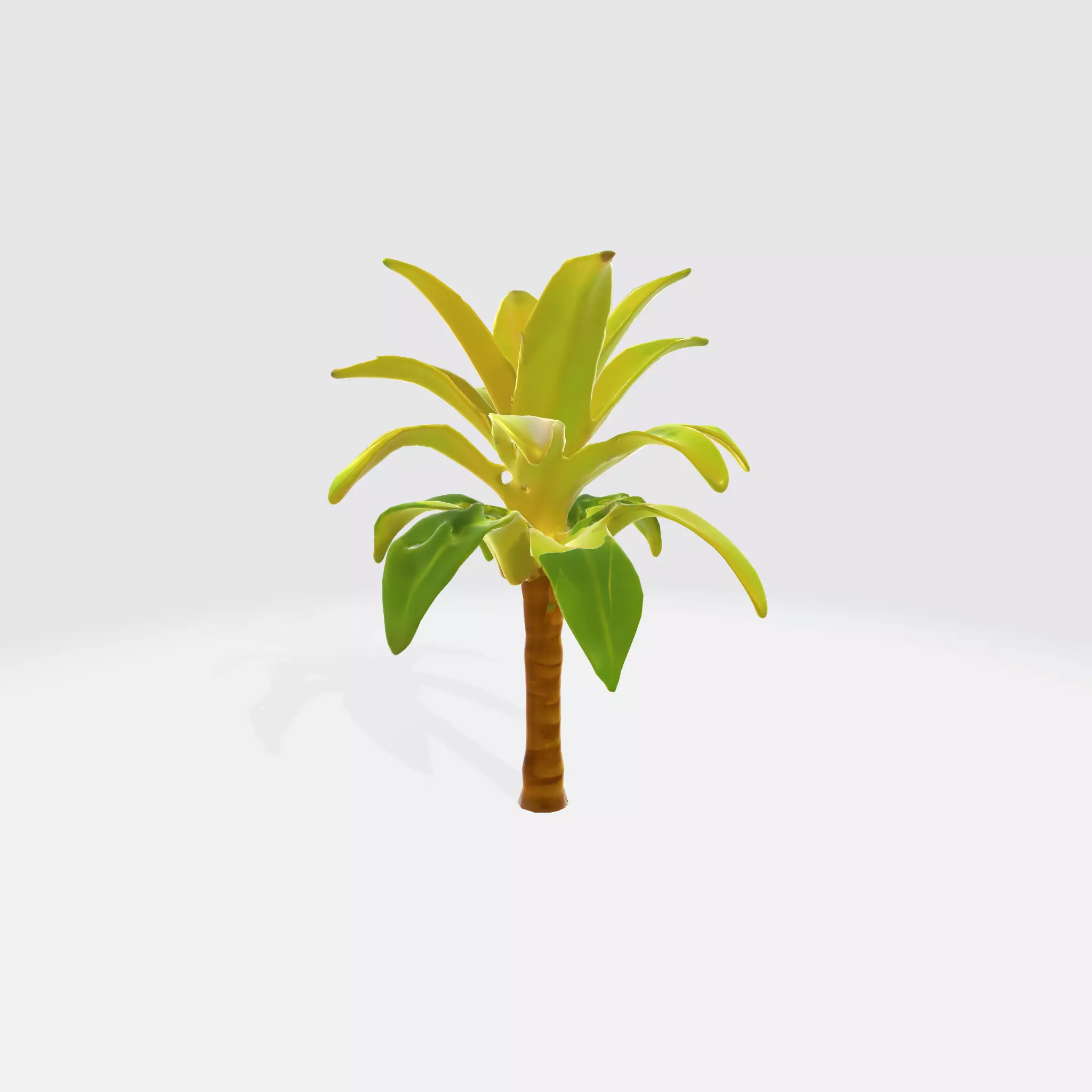 Banana Tree 3D model_0