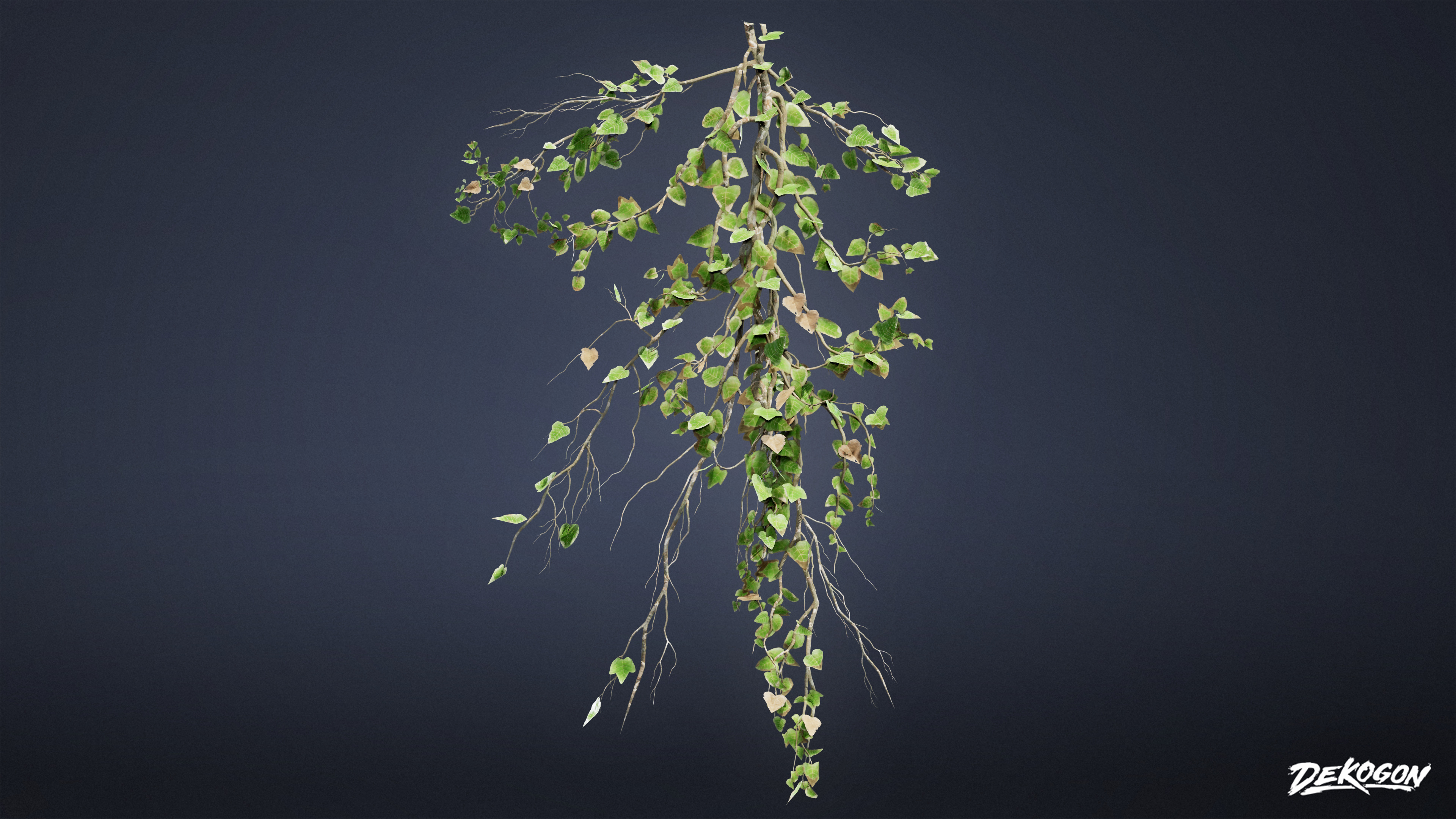 FOLIAGE - Ivy 01 - LOW POLY Low-poly 3D model_1