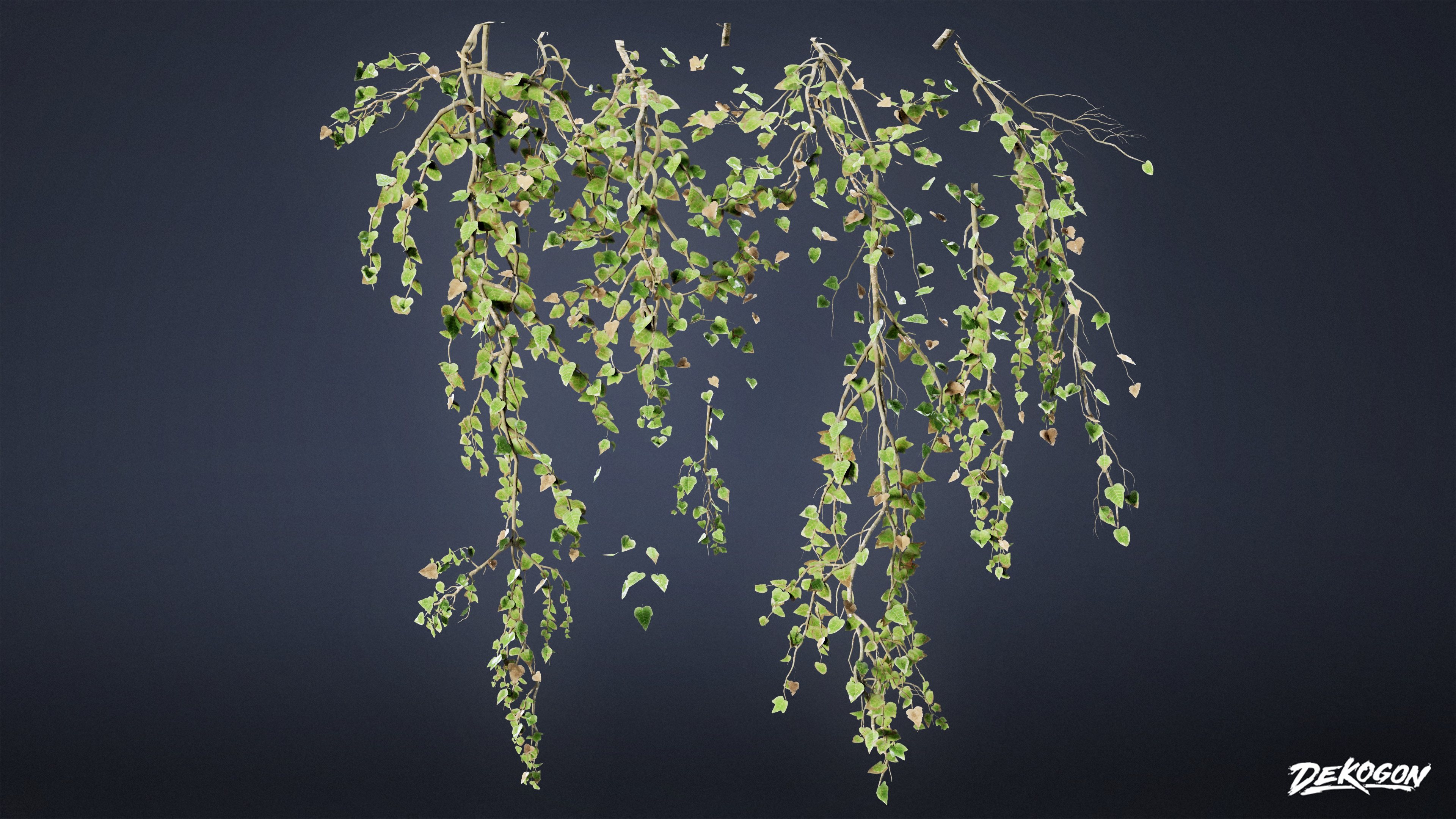 FOLIAGE - Ivy 01 - LOW POLY Low-poly 3D model_3