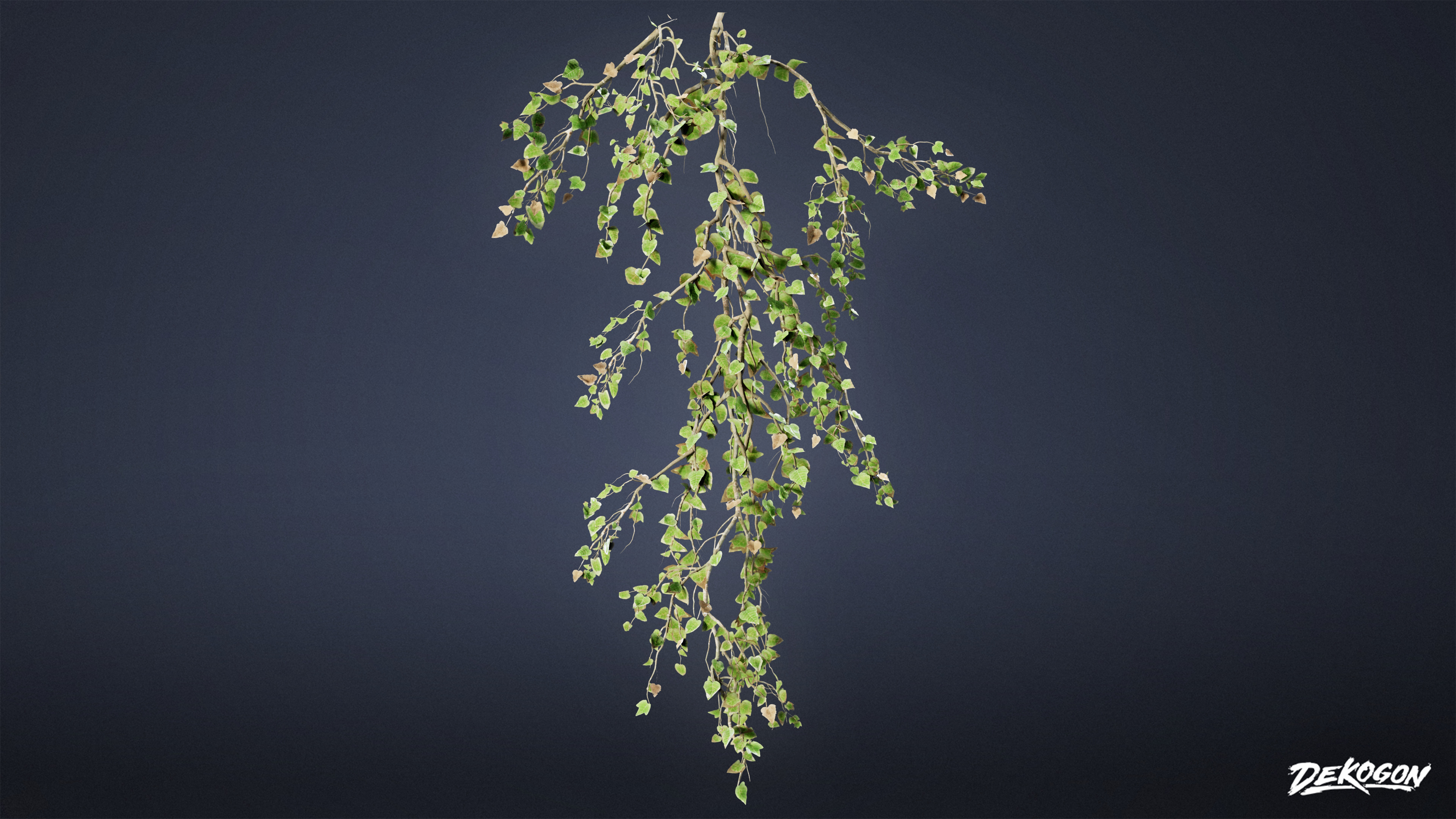 FOLIAGE - Ivy 01 - LOW POLY Low-poly 3D model_5