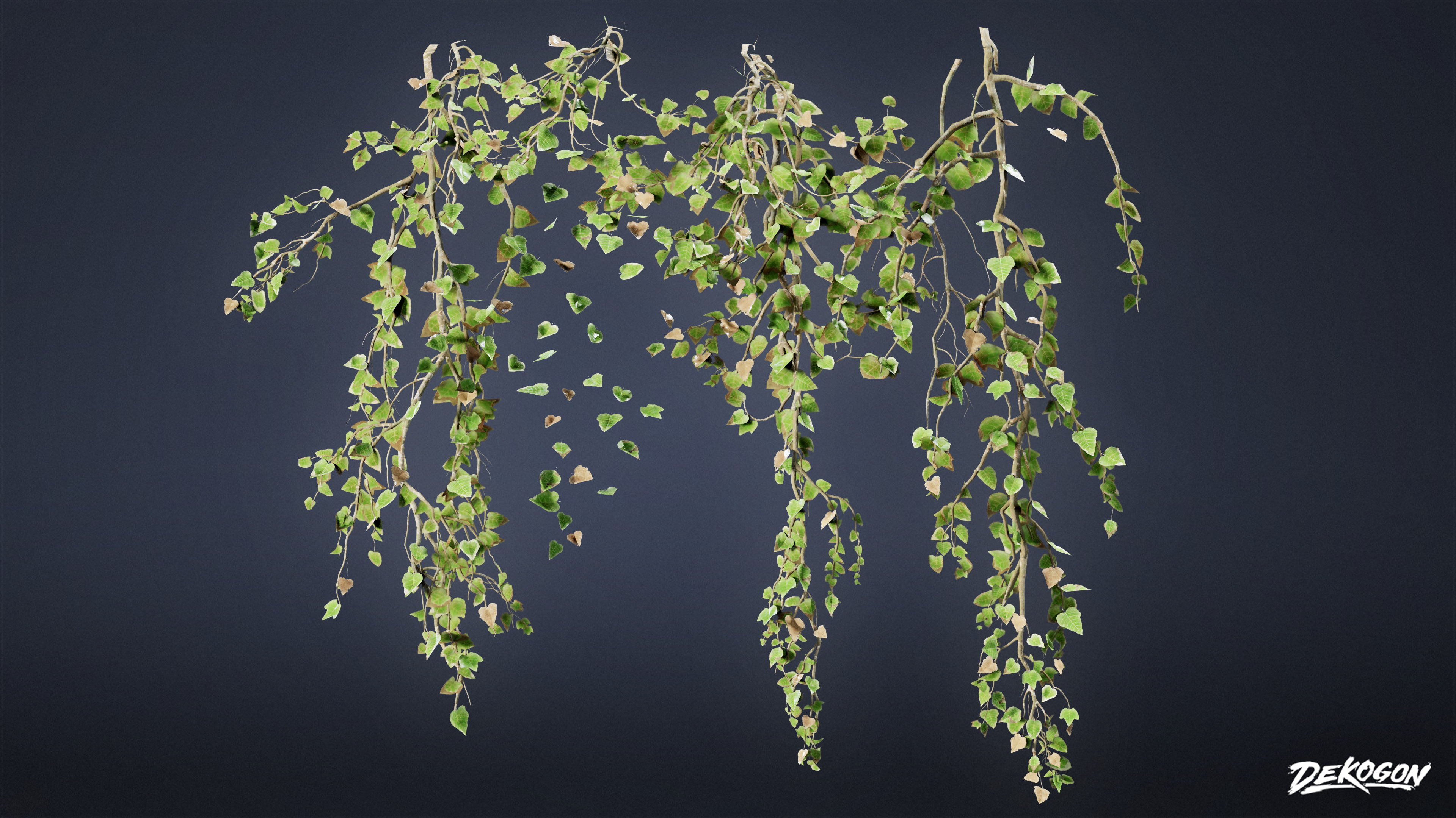 FOLIAGE - Ivy 01 - LOW POLY Low-poly 3D model_4