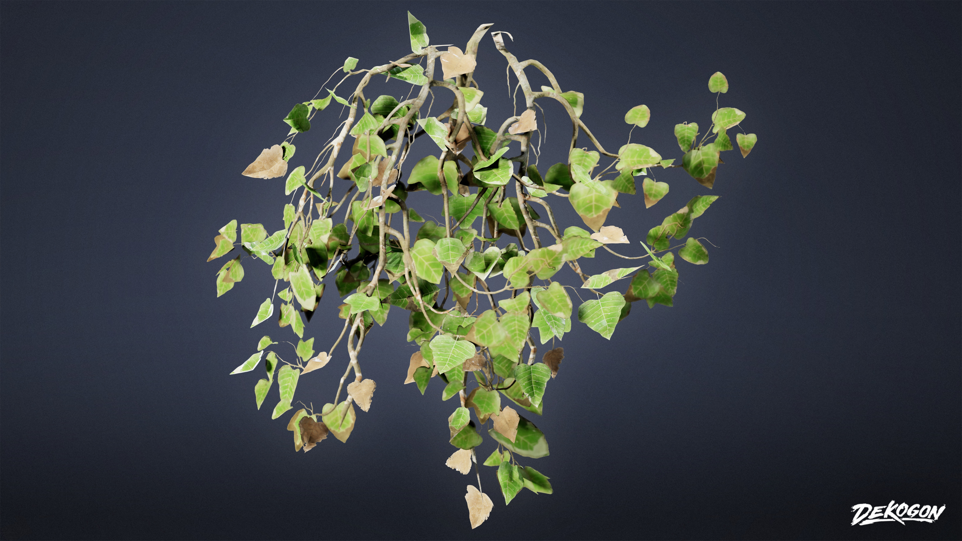 FOLIAGE - Ivy 01 - LOW POLY Low-poly 3D model_6