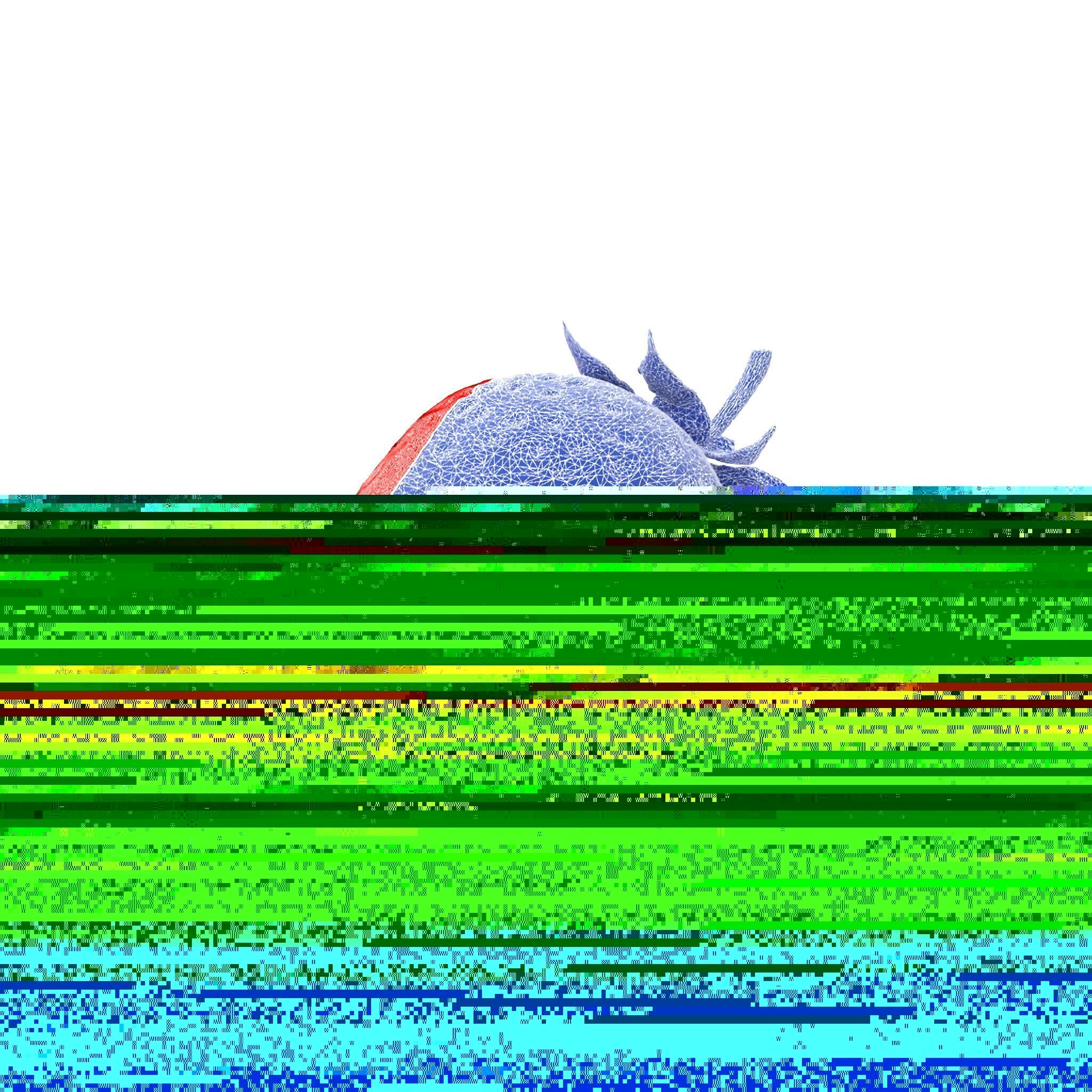 Vibrant Red Strawberry Model Pack Low-poly 3D model_25