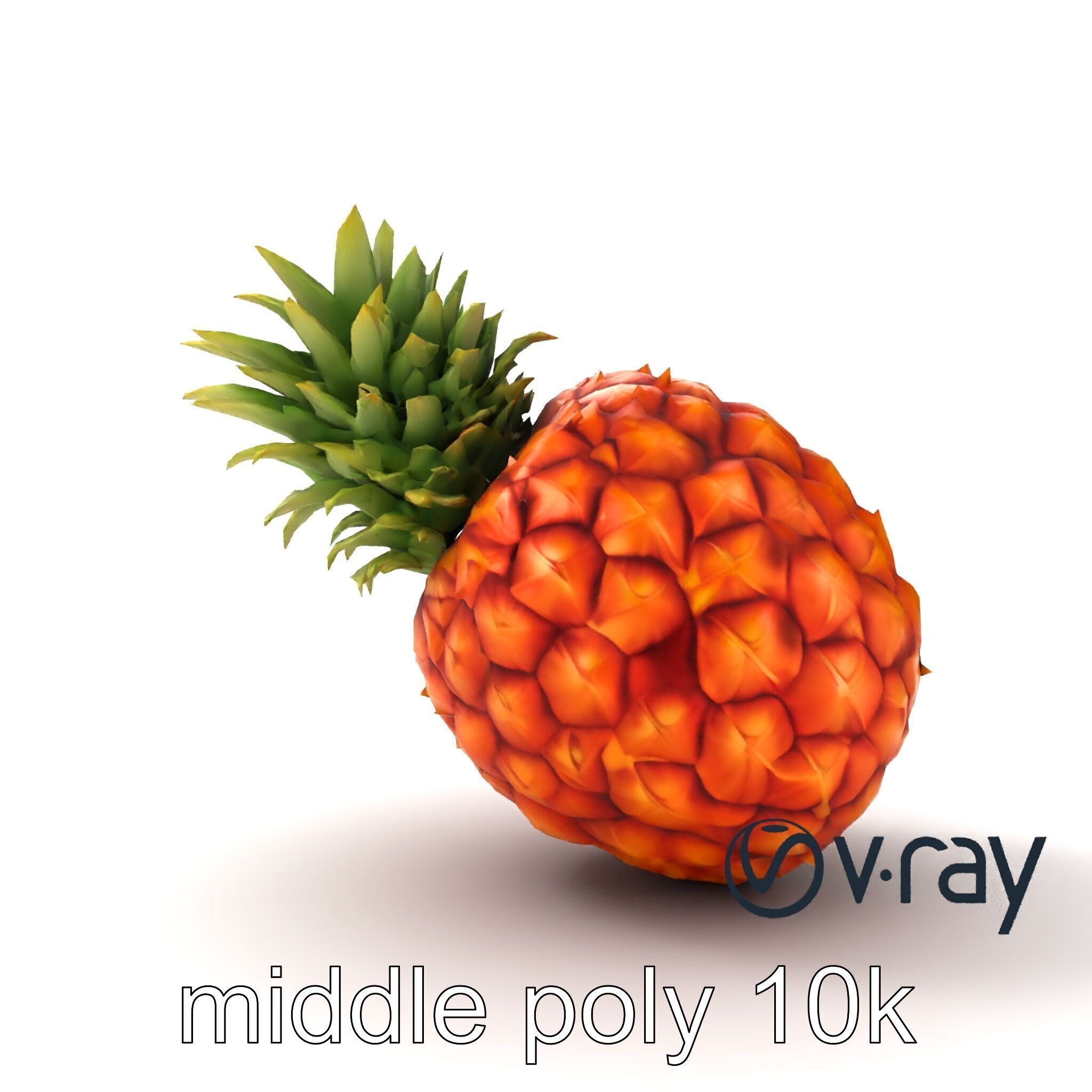 Pineapple Sunlit Textured Surface model pack Low-poly 3D model_14