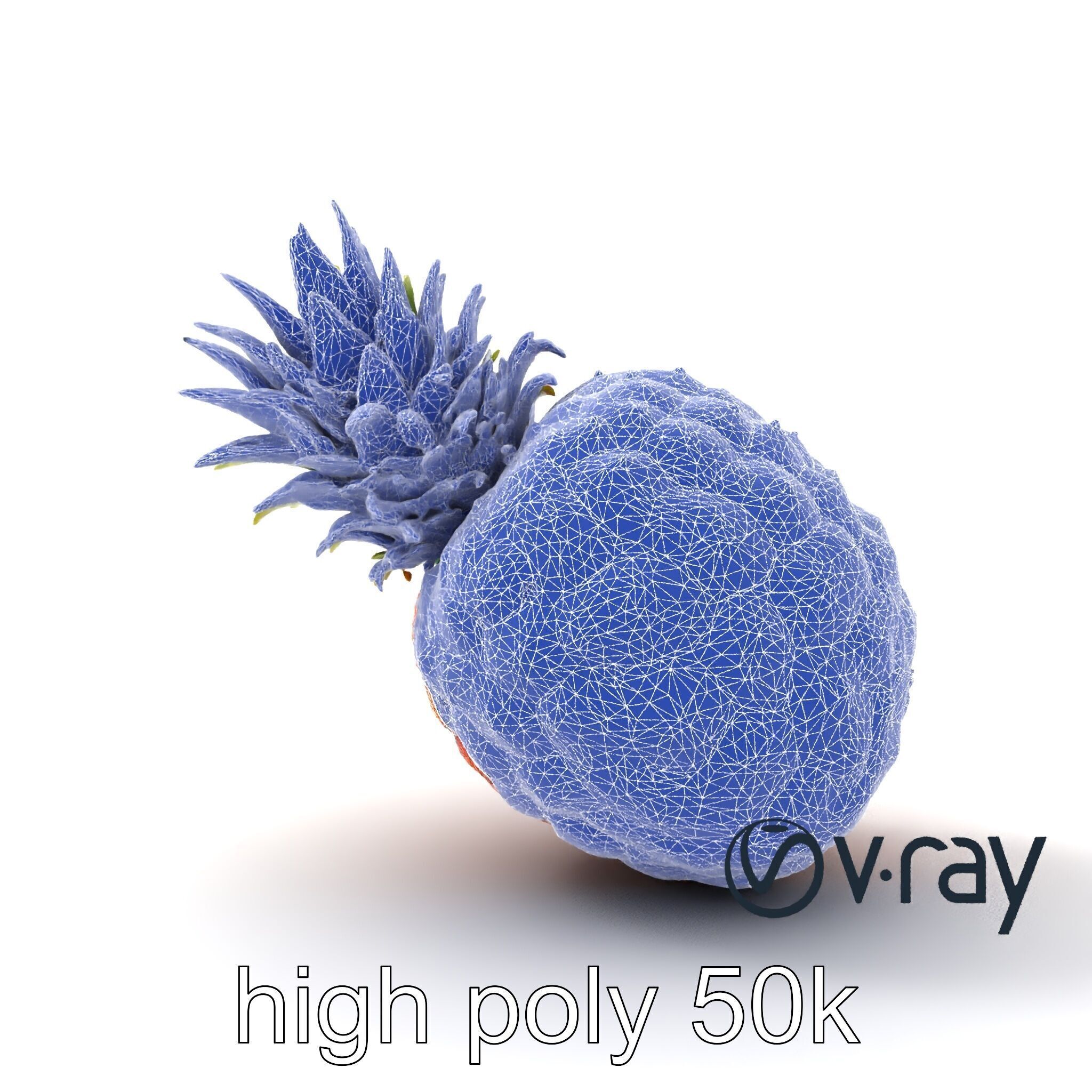 Pineapple Sunlit Textured Surface model pack Low-poly 3D model_16