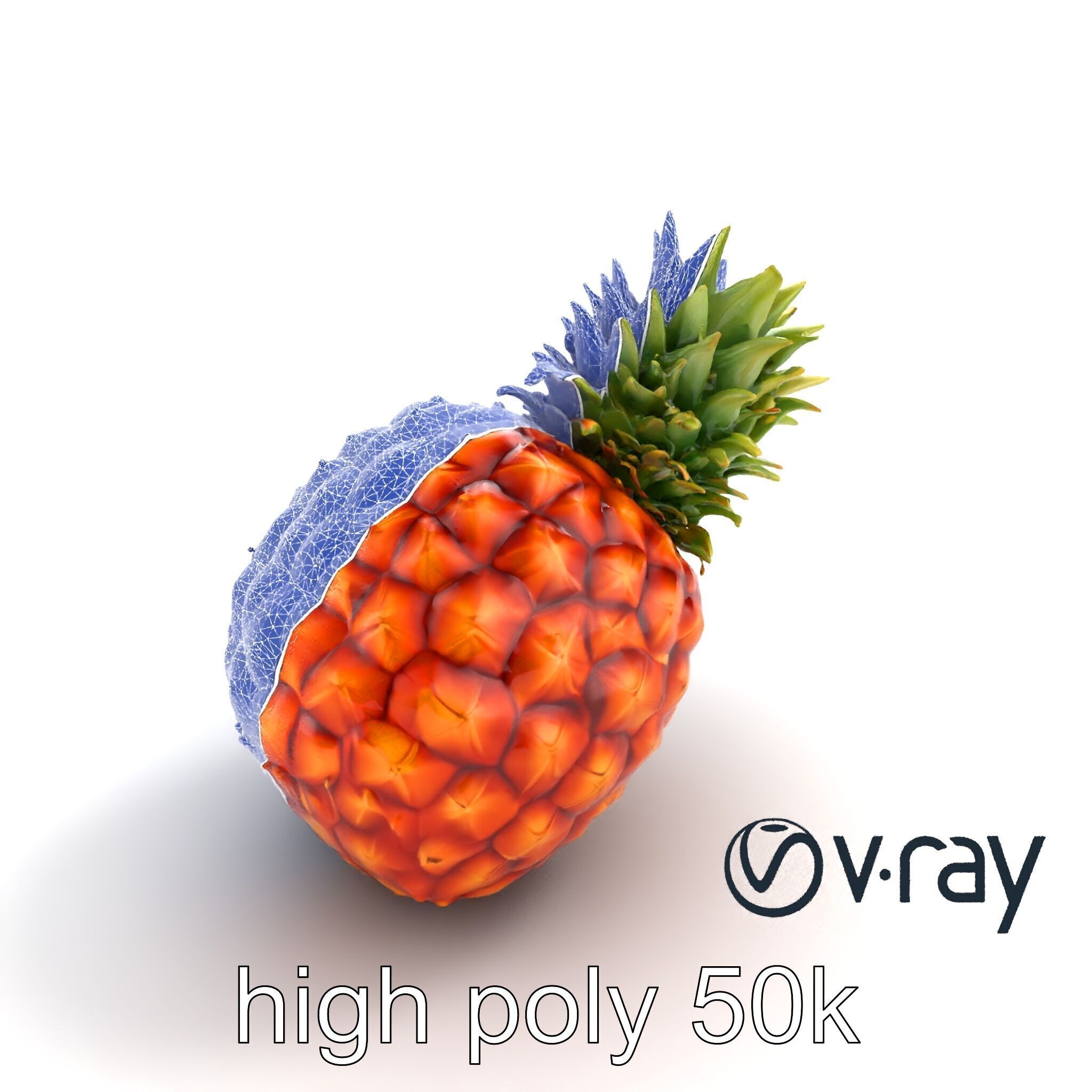 Pineapple Sunlit Textured Surface model pack Low-poly 3D model_28