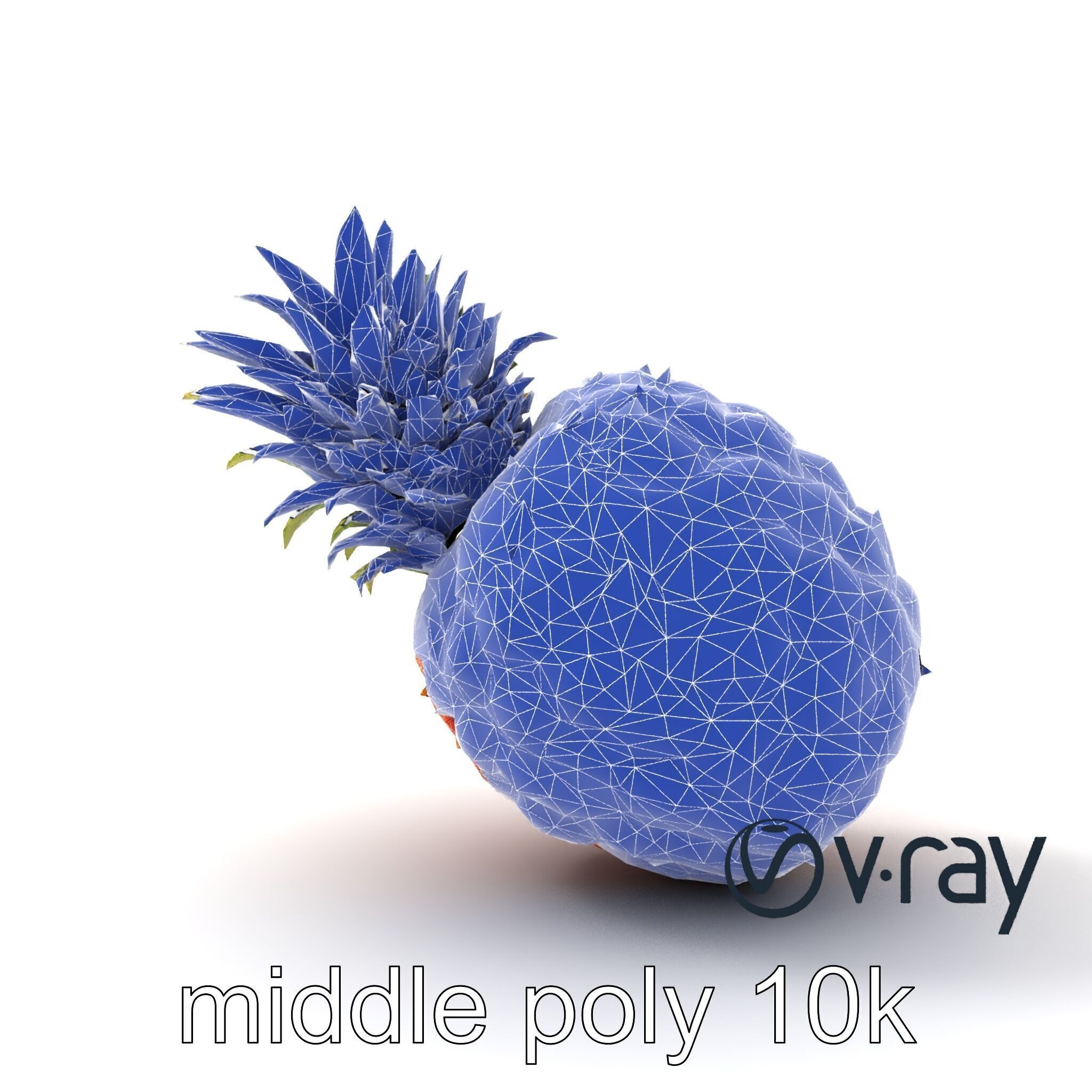 Pineapple Sunlit Textured Surface model pack Low-poly 3D model_30