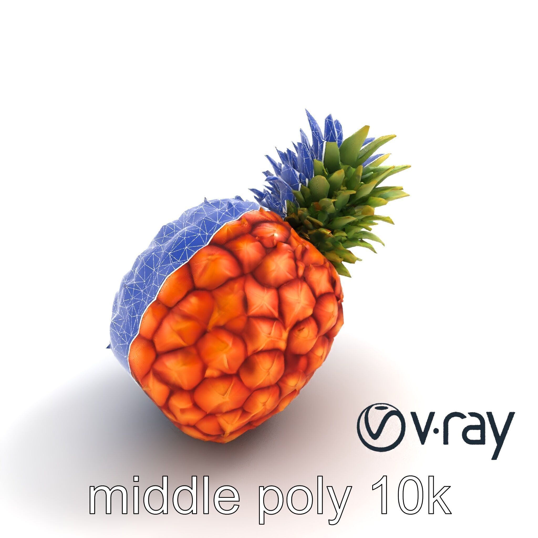 Pineapple Sunlit Textured Surface model pack Low-poly 3D model_11