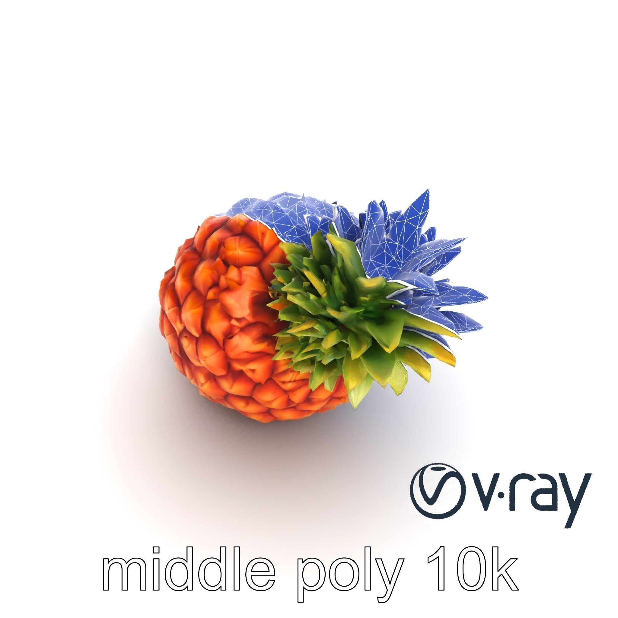Pineapple Sunlit Textured Surface model pack Low-poly 3D model_27