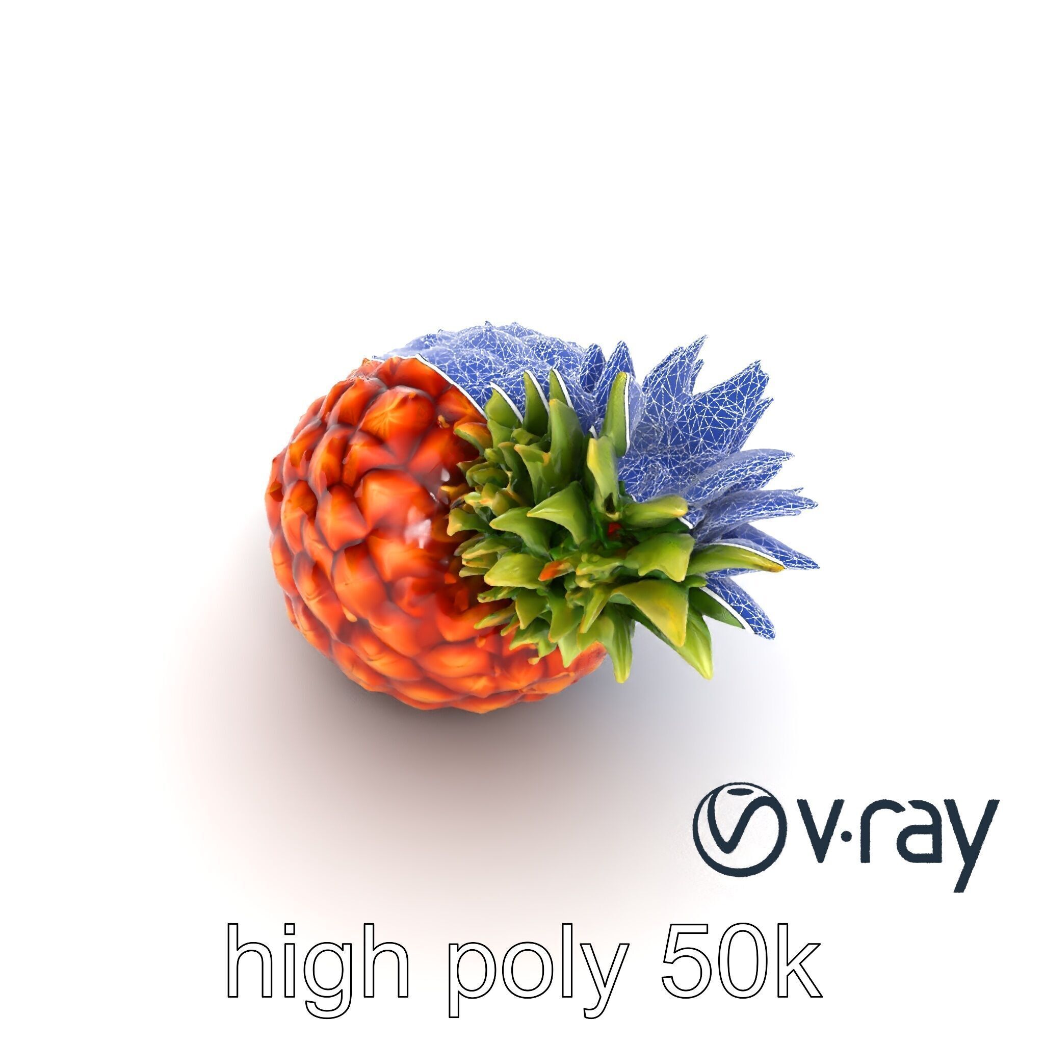 Pineapple Sunlit Textured Surface model pack Low-poly 3D model_25