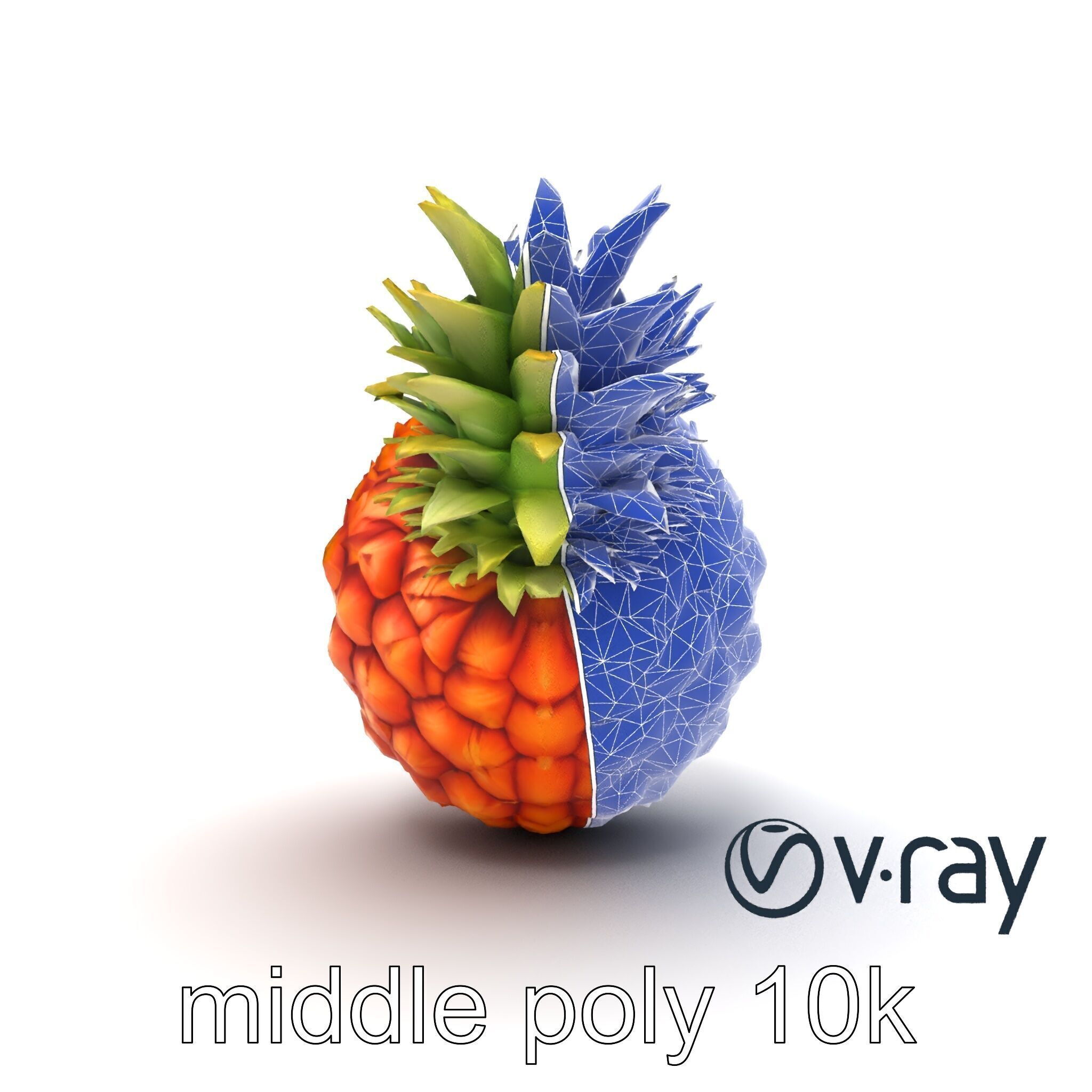 Pineapple Sunlit Textured Surface model pack Low-poly 3D model_19