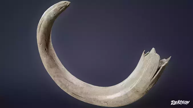 BONES - Tusk 02 - LOW POLY AND NANITE Low-poly 3D model