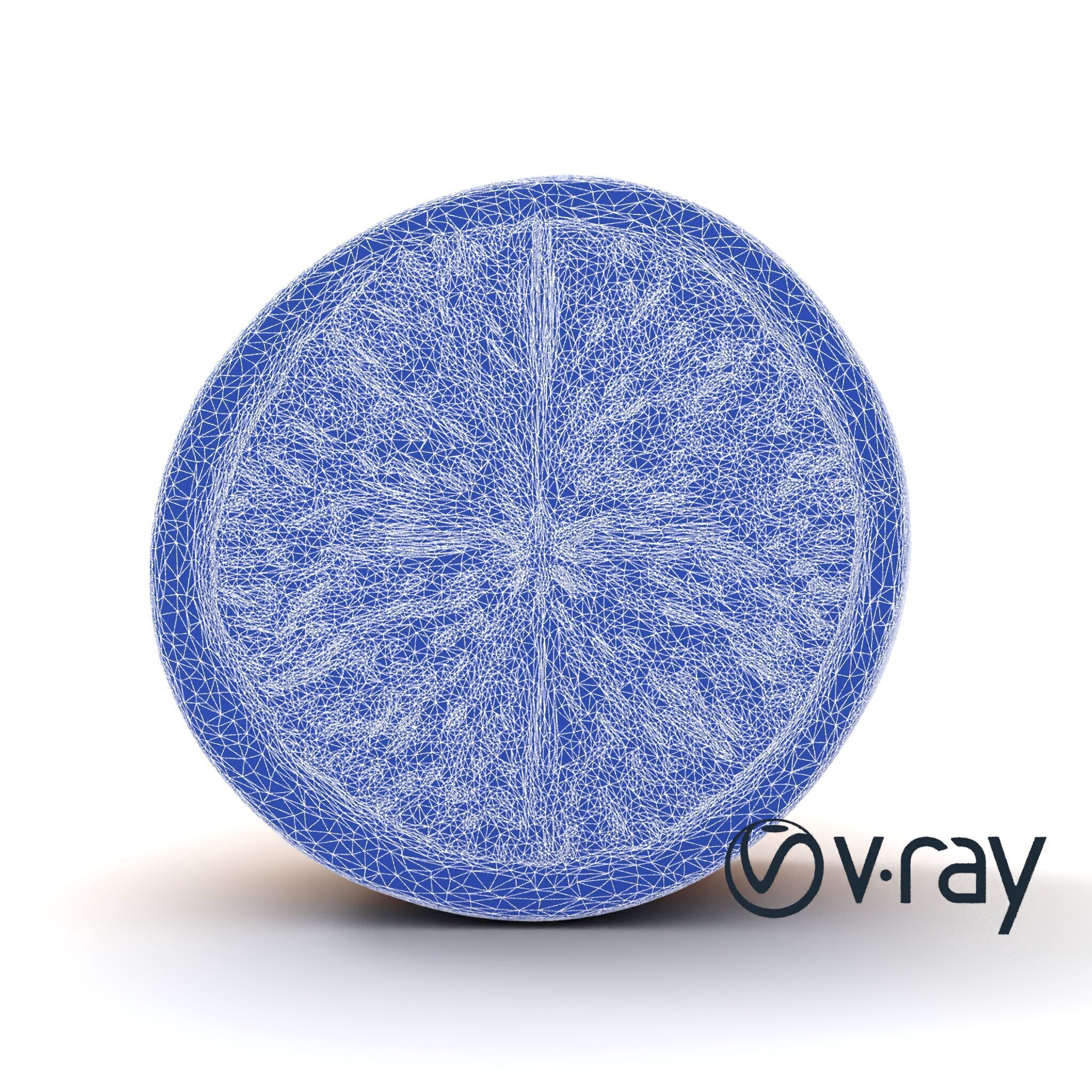 Orange Textured Slice Realistic Model Pack Low-poly 3D model_23