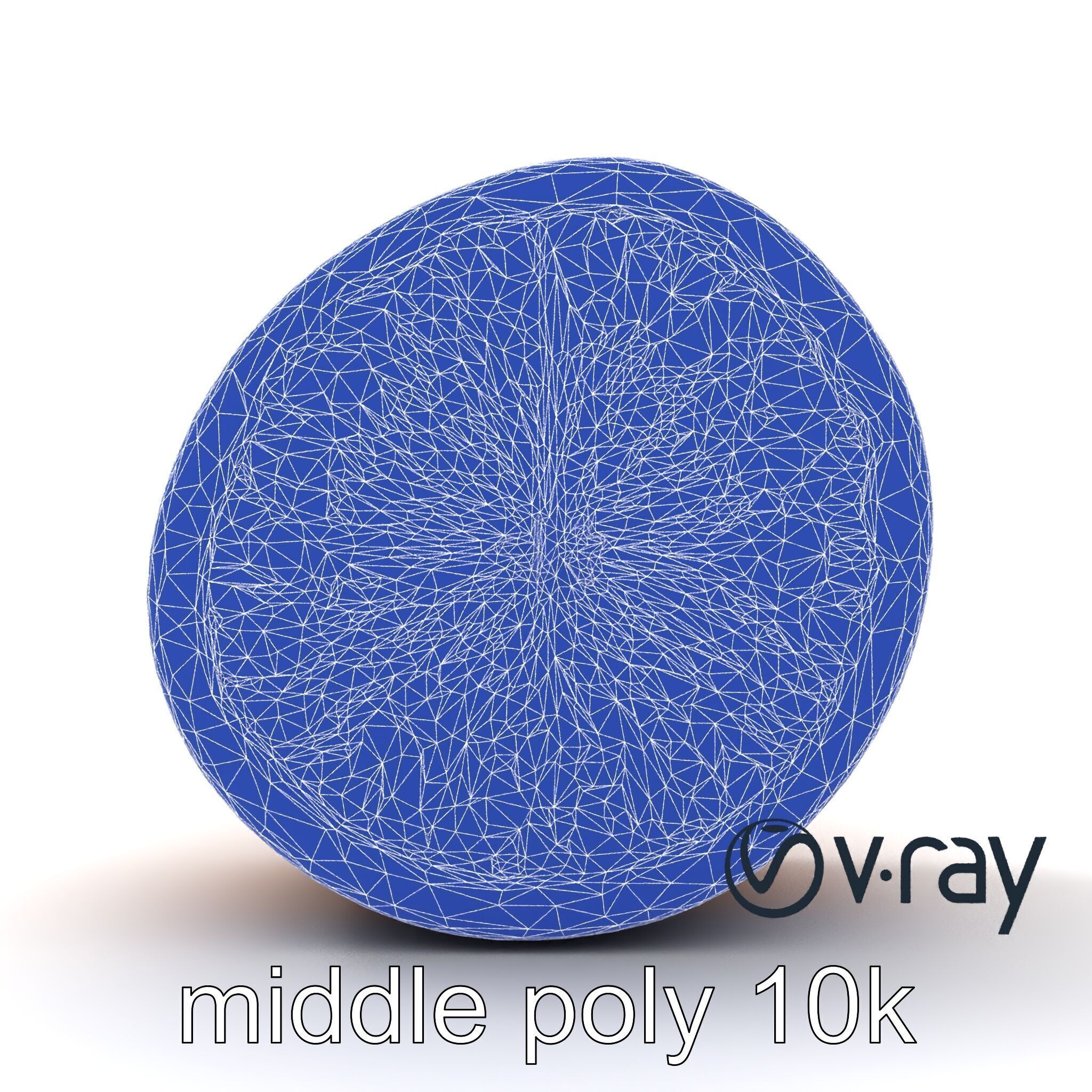 Orange Textured Slice Realistic Model Pack Low-poly 3D model_11