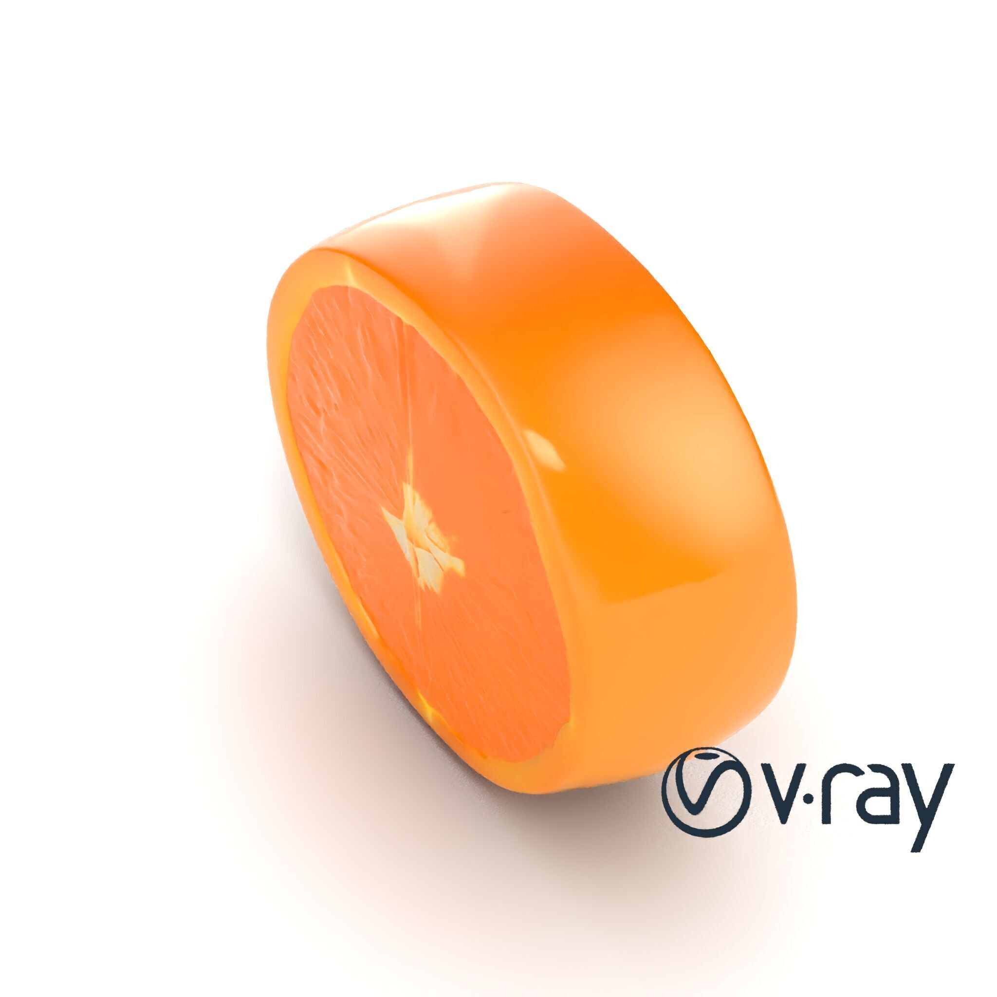 Orange Textured Slice Realistic Model Pack Low-poly 3D model_27