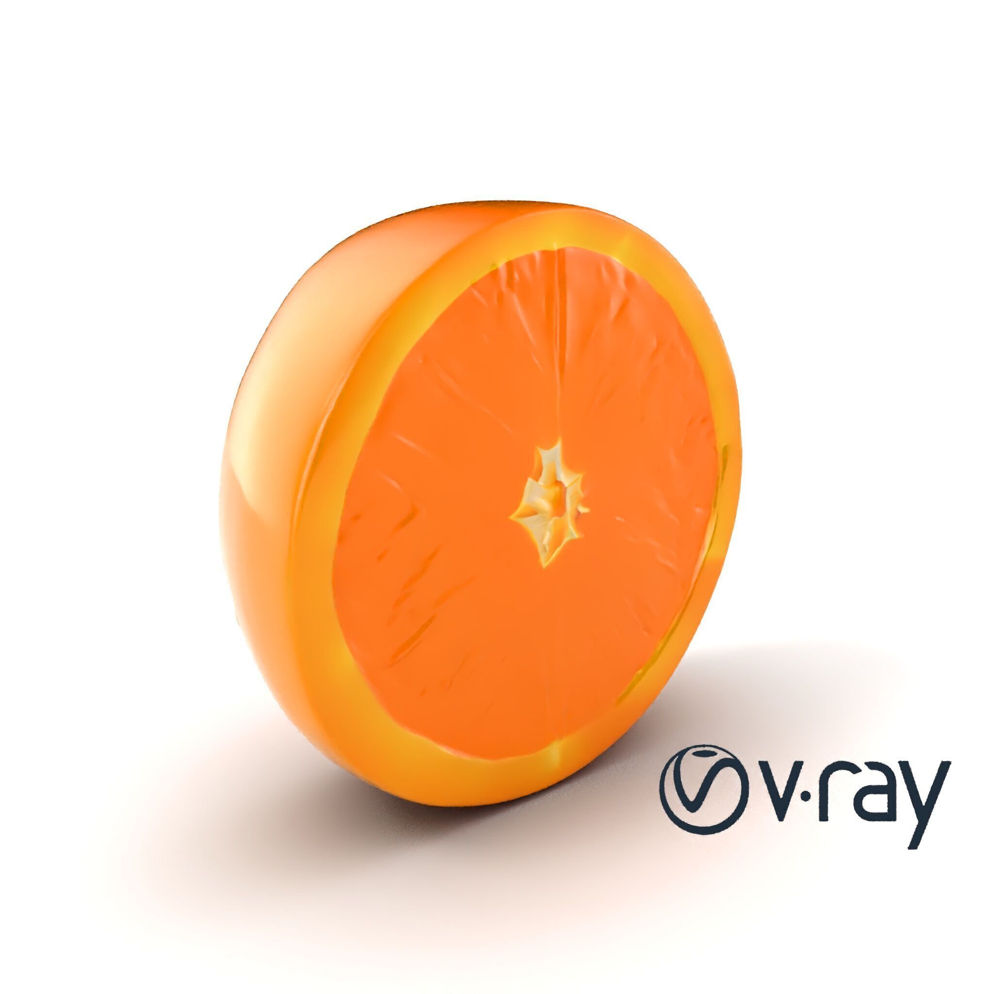 Orange Textured Slice Realistic Model Pack Low-poly 3D model_6