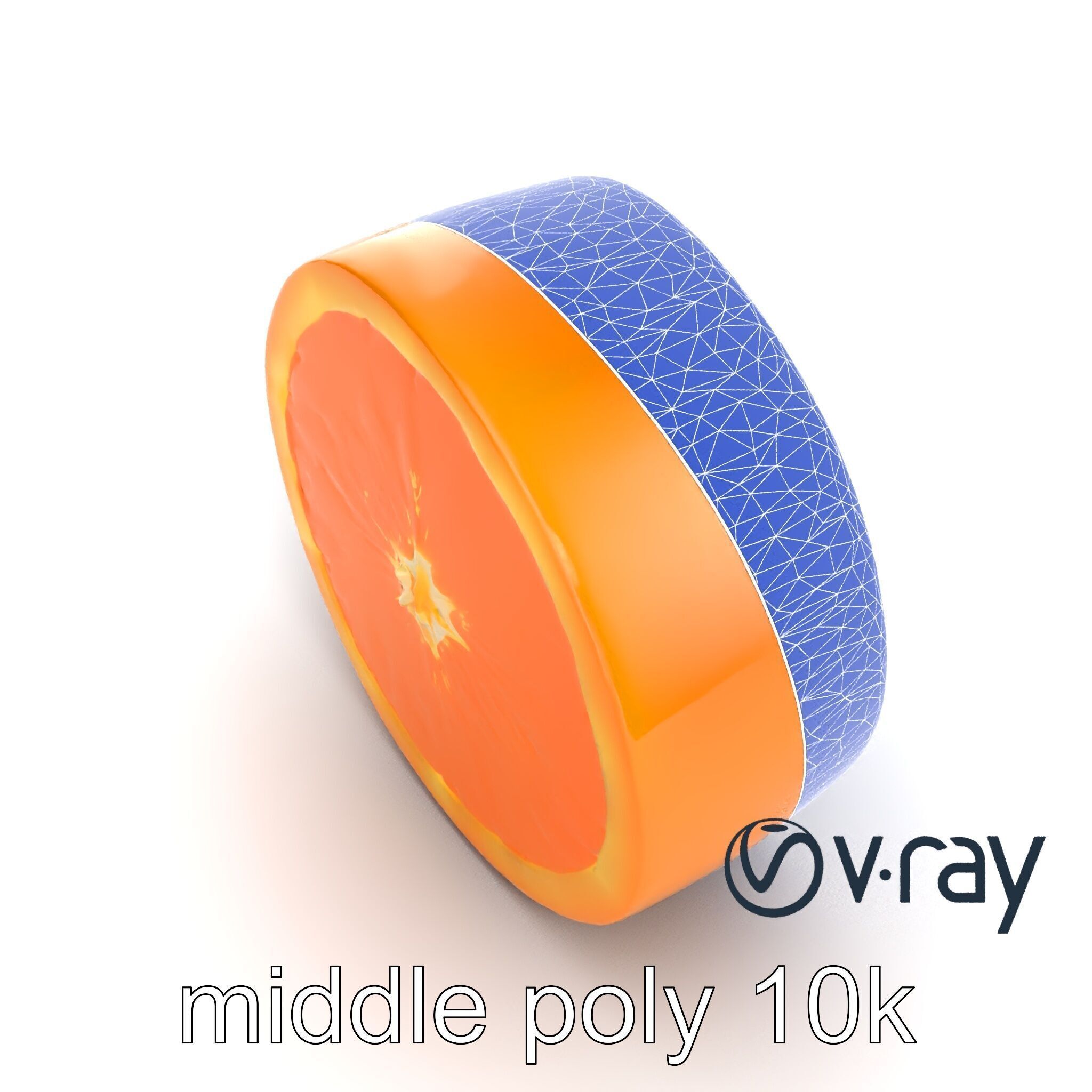 Orange Textured Slice Realistic Model Pack Low-poly 3D model_25