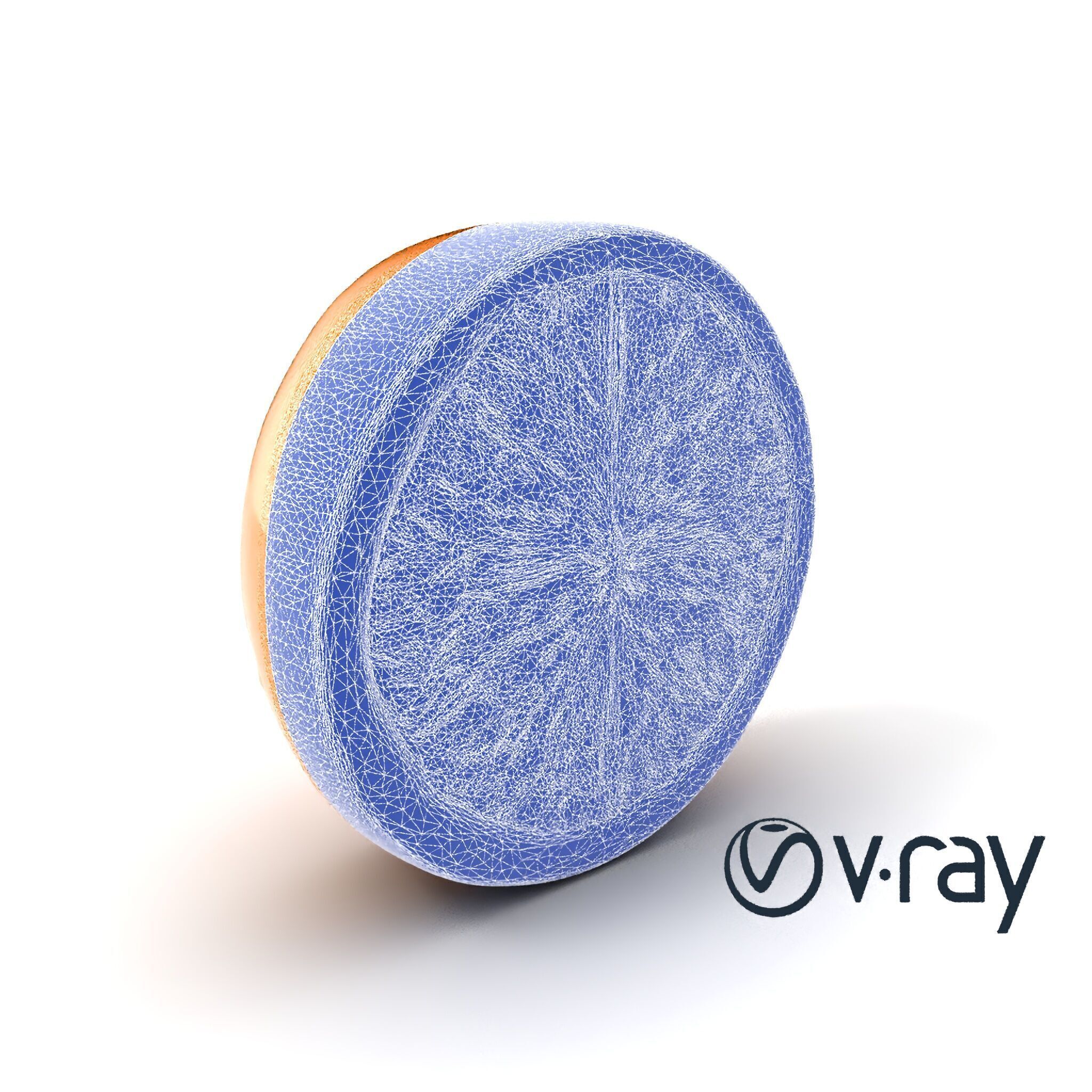 Orange Textured Slice Realistic Model Pack Low-poly 3D model_31