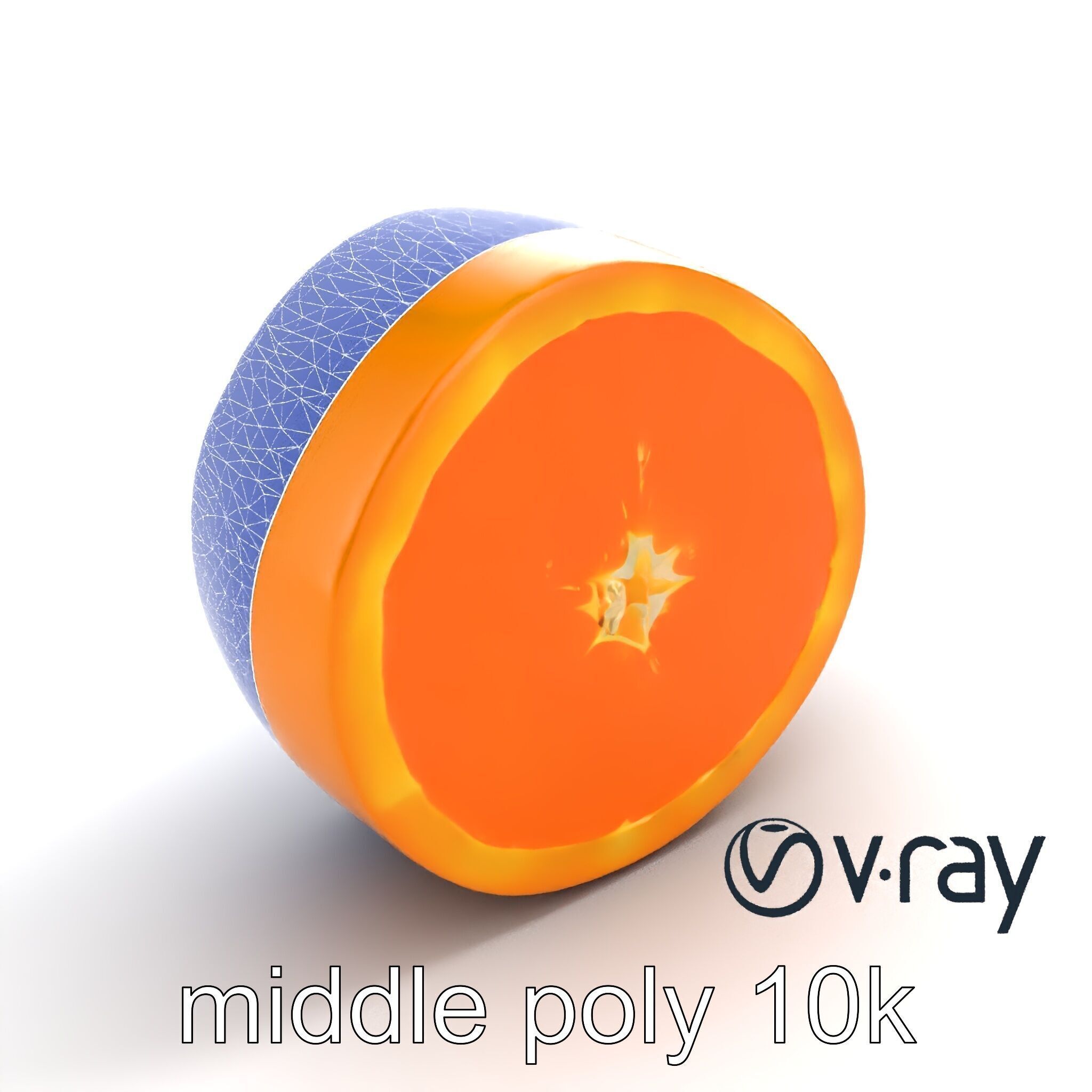 Orange Textured Slice Realistic Model Pack Low-poly 3D model_10