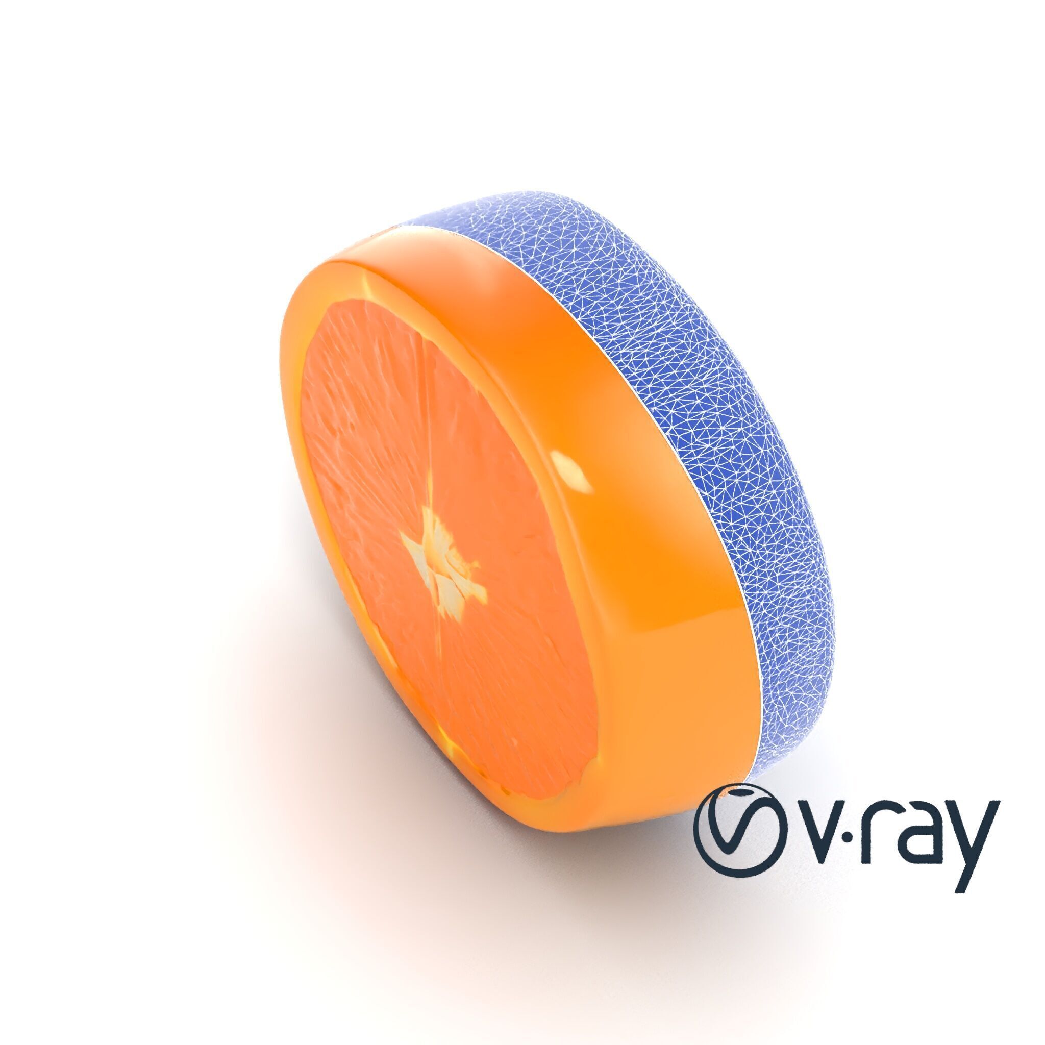 Orange Textured Slice Realistic Model Pack Low-poly 3D model_19