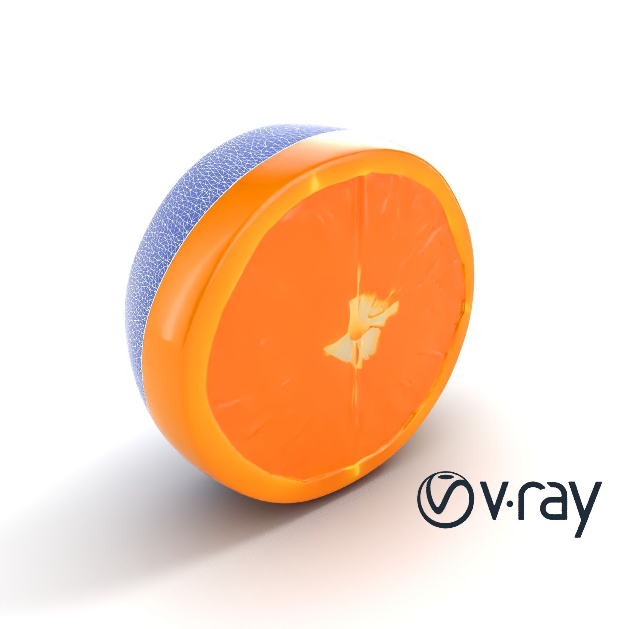 Orange Textured Slice Realistic Model Pack Low-poly 3D model_18