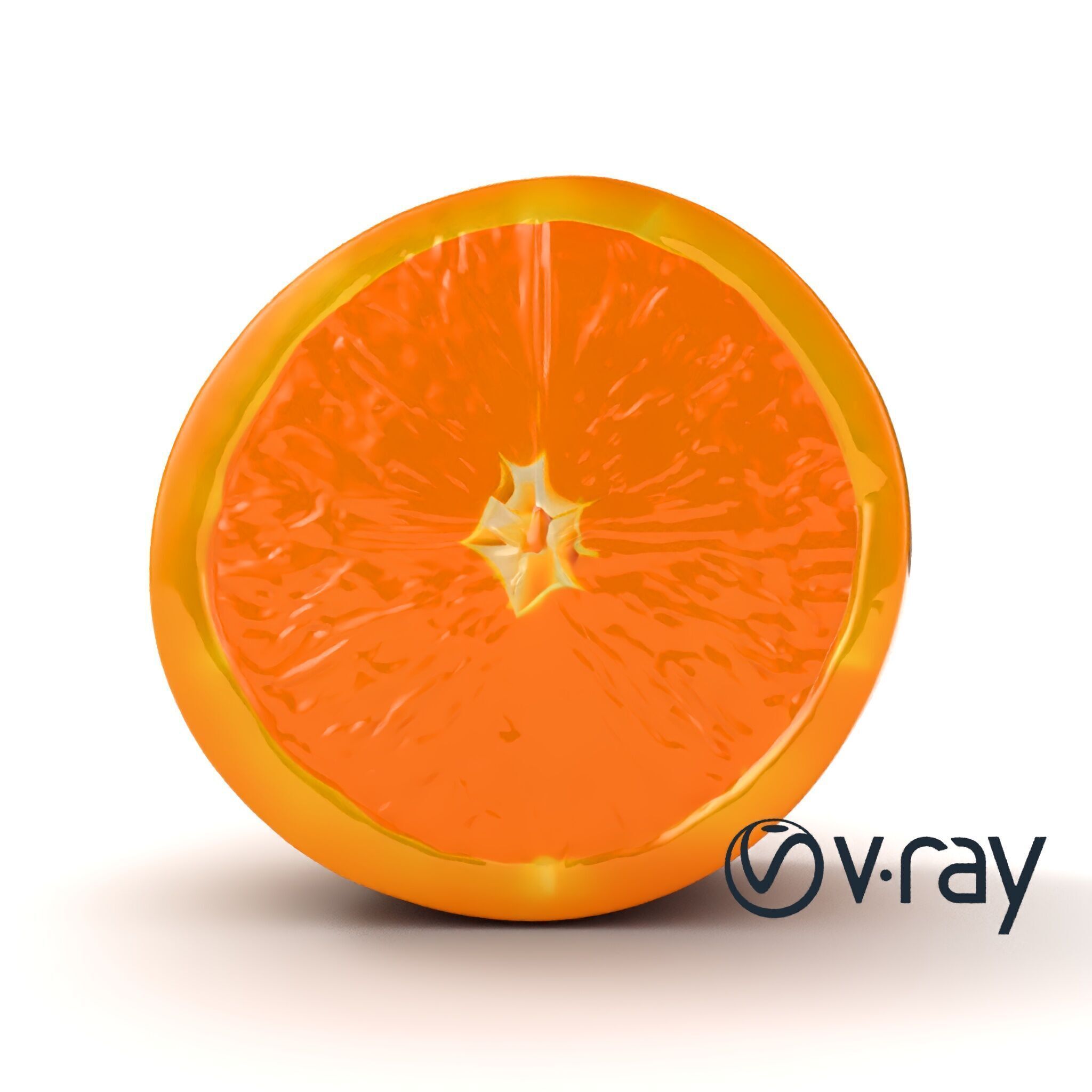 Orange Textured Slice Realistic Model Pack Low-poly 3D model_20