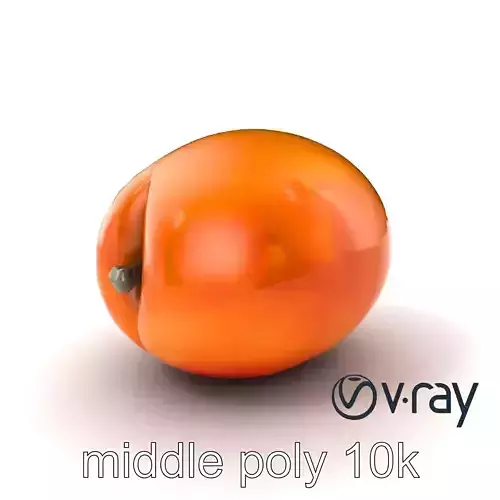 Warm Orange-Yellow Apricot Model Pack