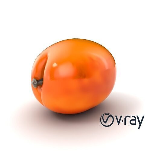 Warm Orange-Yellow Apricot Model Pack Low-poly 3D model 7