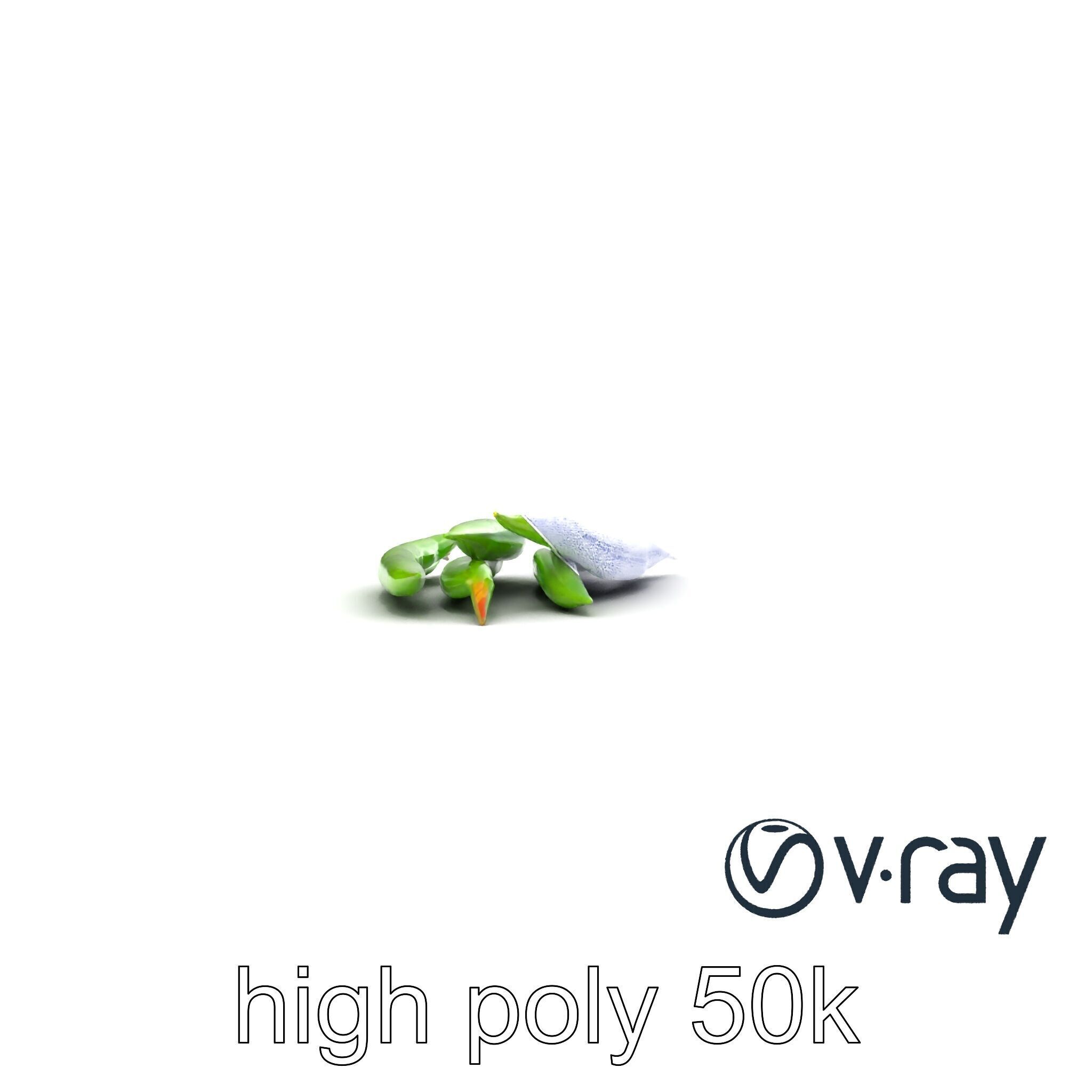 Realistic Green Beans with Smooth Pods model pack Low-poly 3D model_23