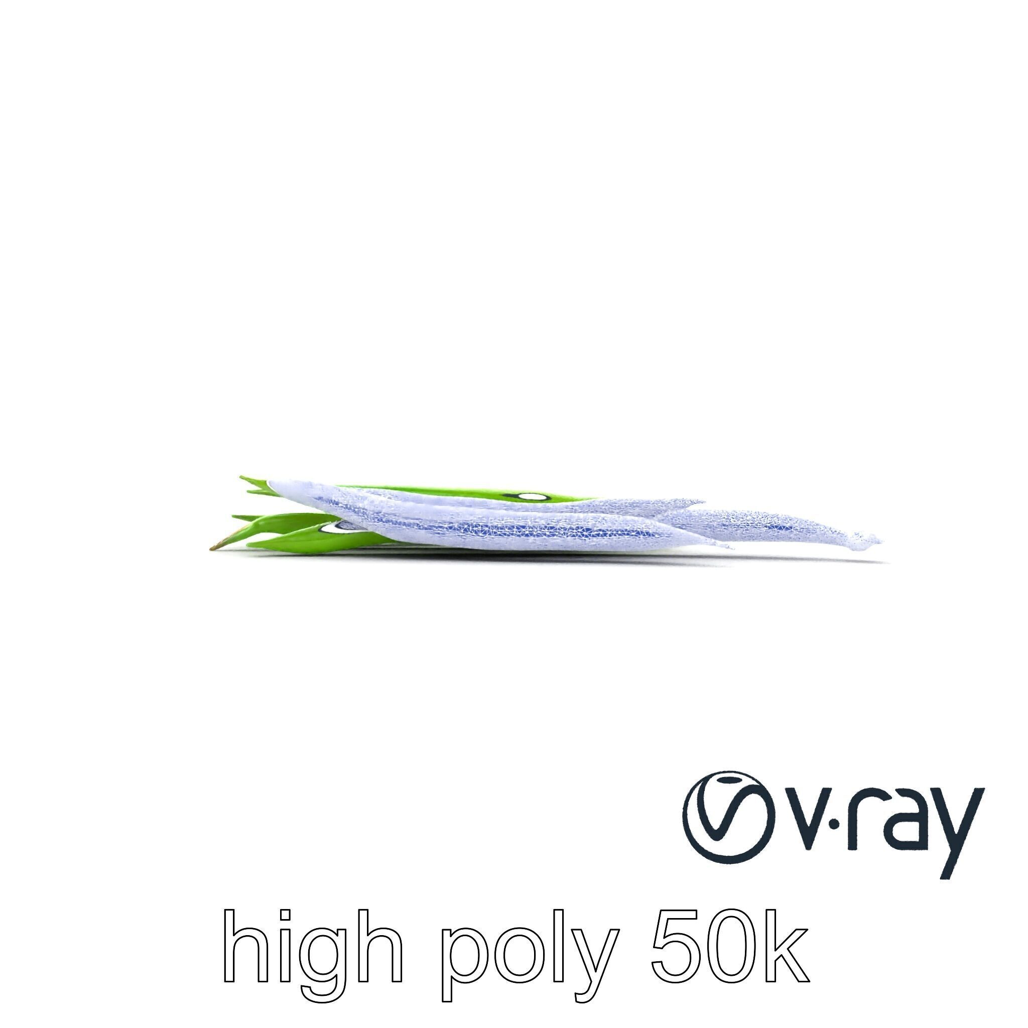 Realistic Green Beans with Smooth Pods model pack Low-poly 3D model_30