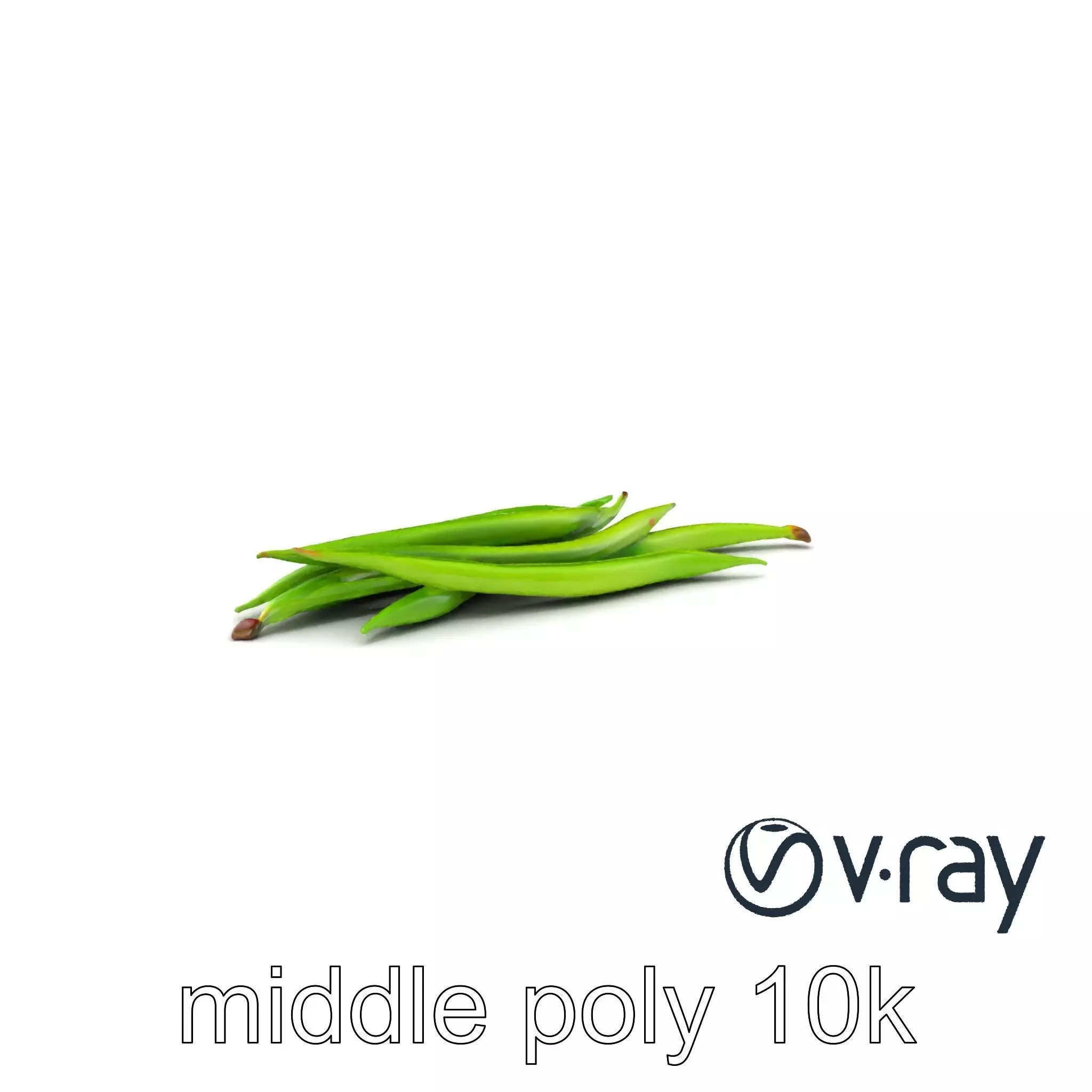 Realistic Green Beans with Smooth Pods model pack Low-poly 3D model_0
