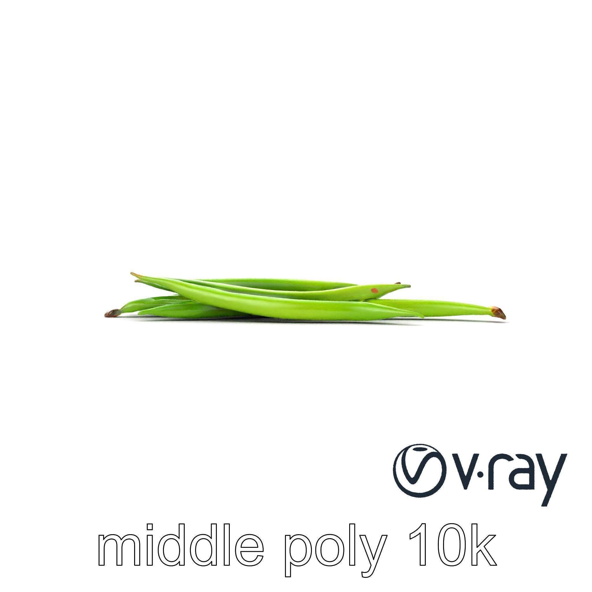 Realistic Green Beans with Smooth Pods model pack Low-poly 3D model_24