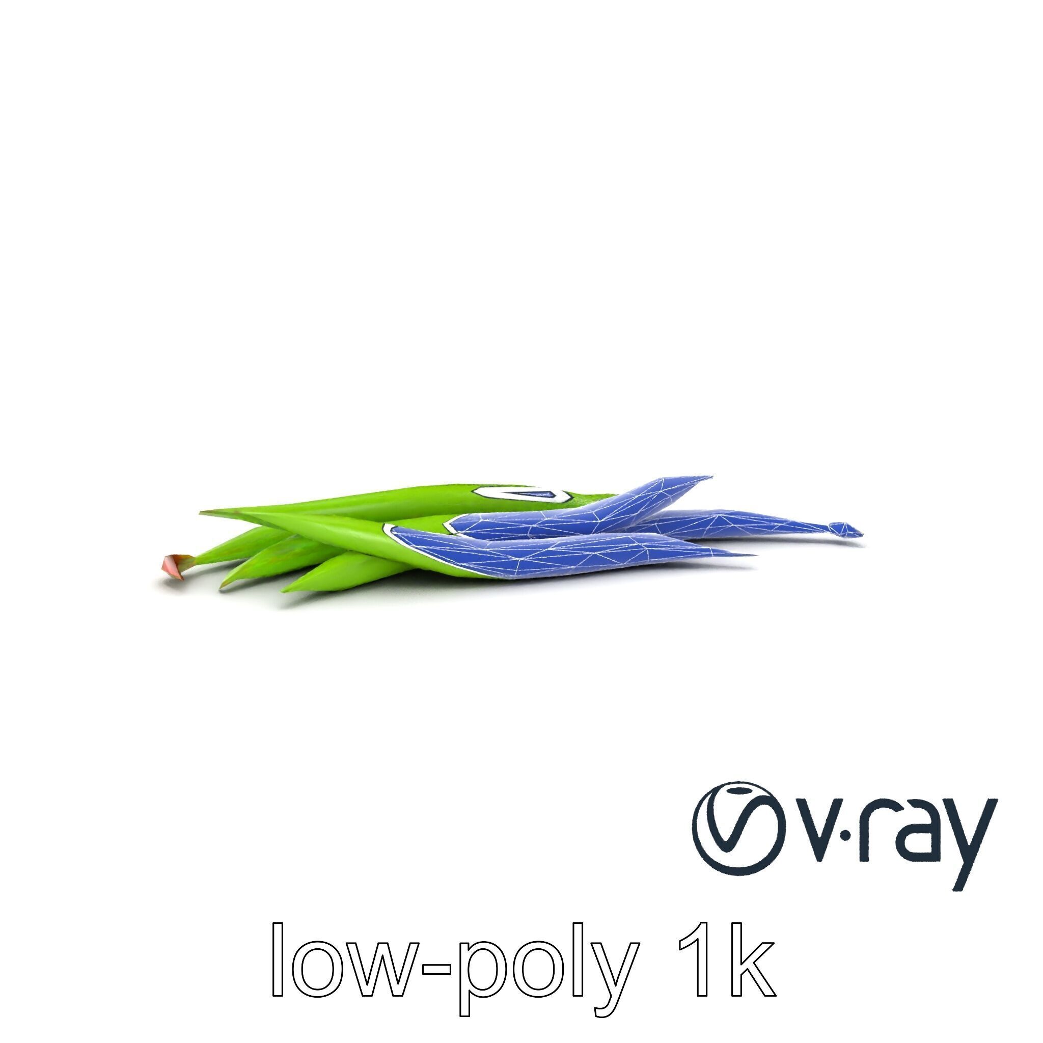 Realistic Green Beans with Smooth Pods model pack Low-poly 3D model_8