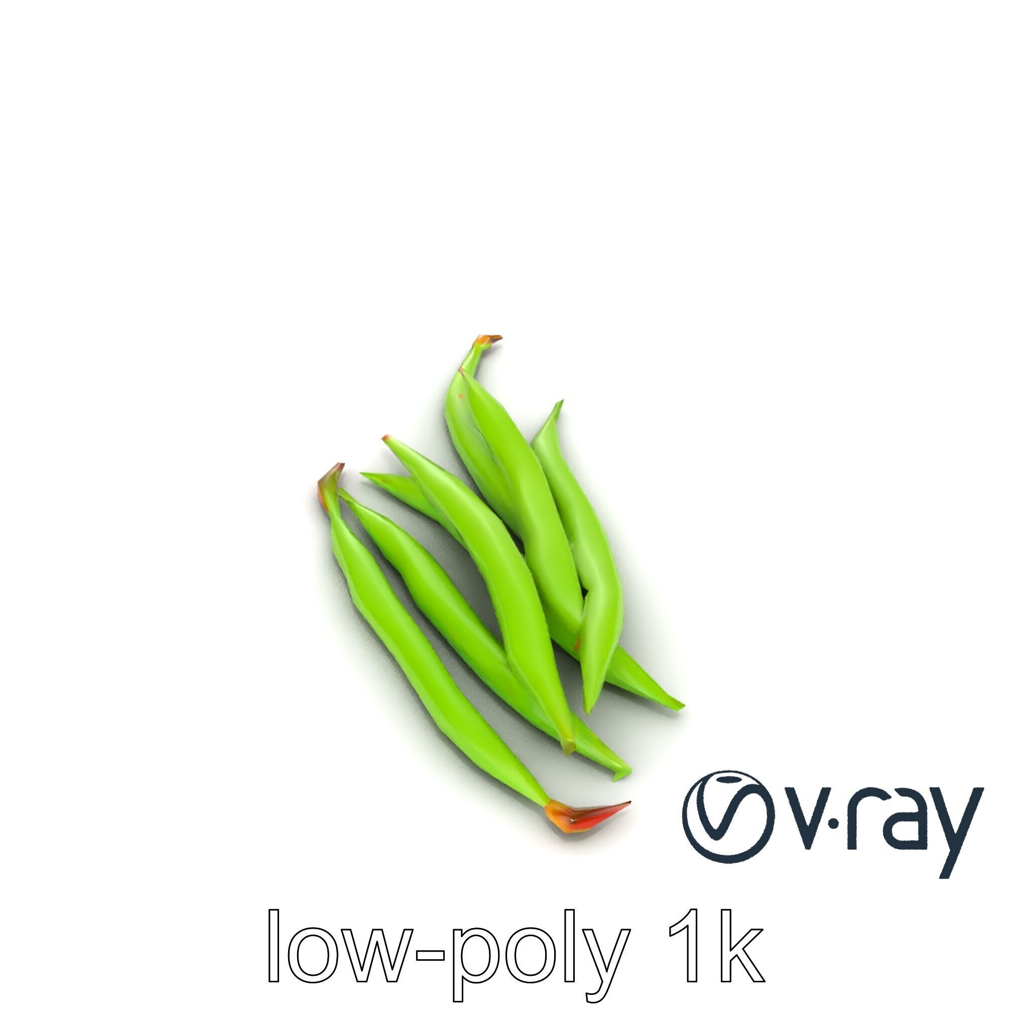 Realistic Green Beans with Smooth Pods model pack Low-poly 3D model_19