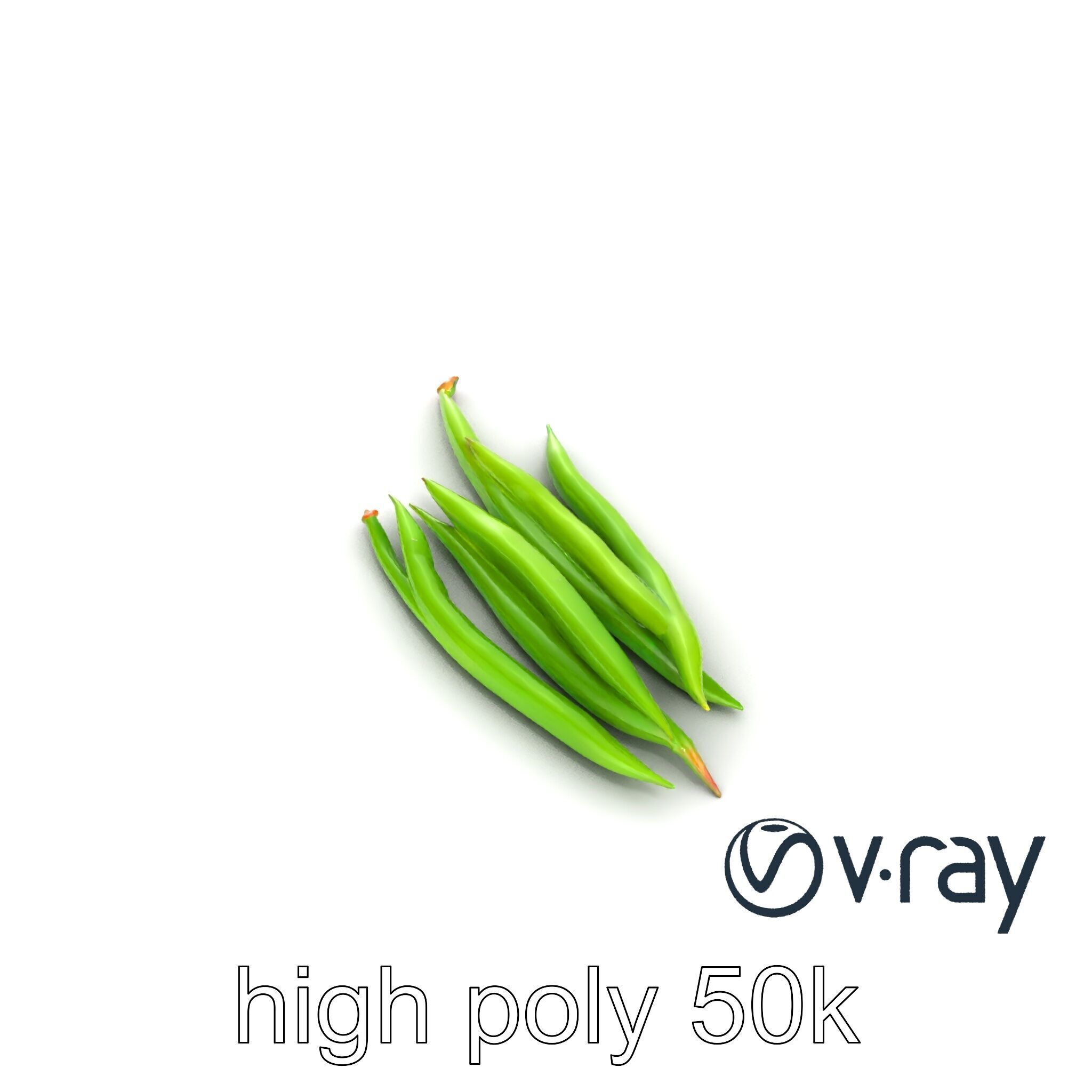 Realistic Green Beans with Smooth Pods model pack Low-poly 3D model_18