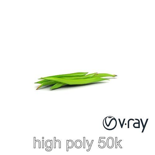 Realistic Green Beans with Smooth Pods model pack Low-poly 3D model 7